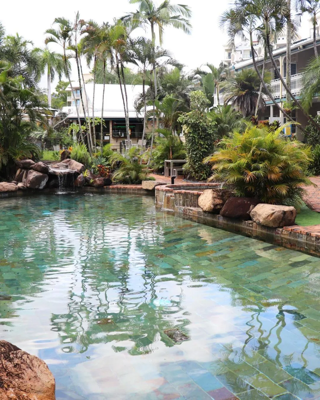 Natural landscape in Colonial Palms Motor Inn