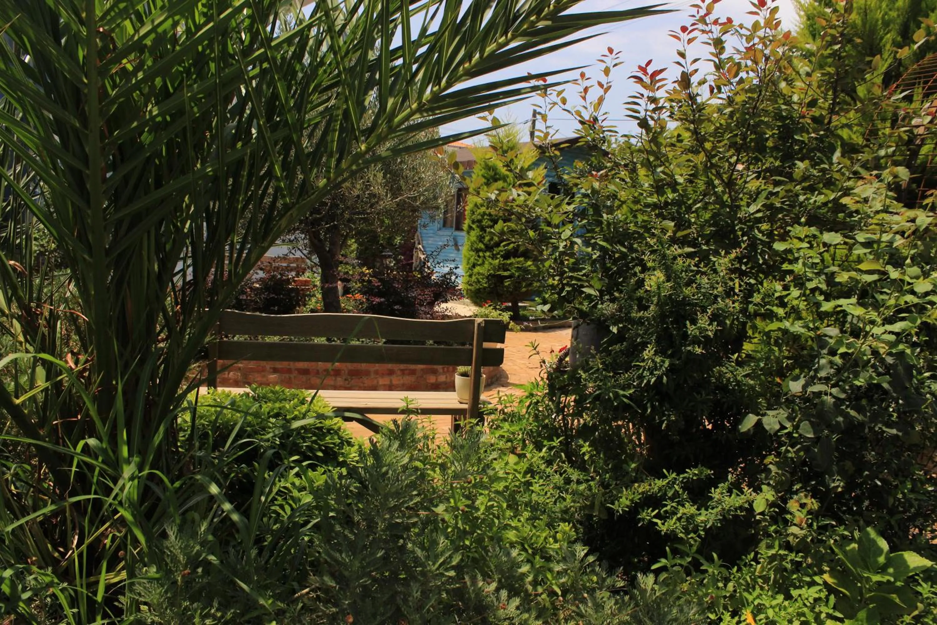 Garden in Cundavilla Hotel & Suites