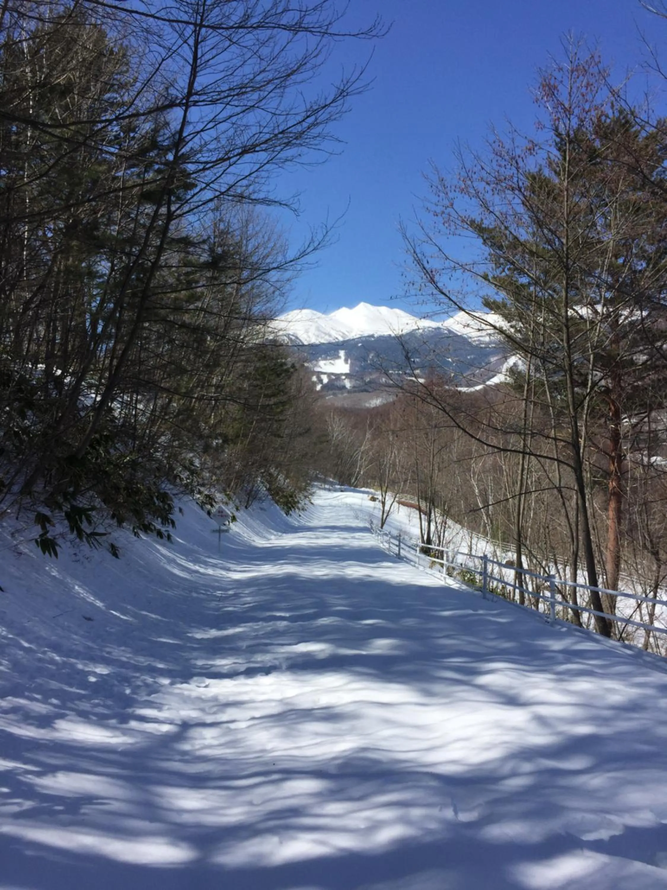 Guesthouse Hoshizora no Akari