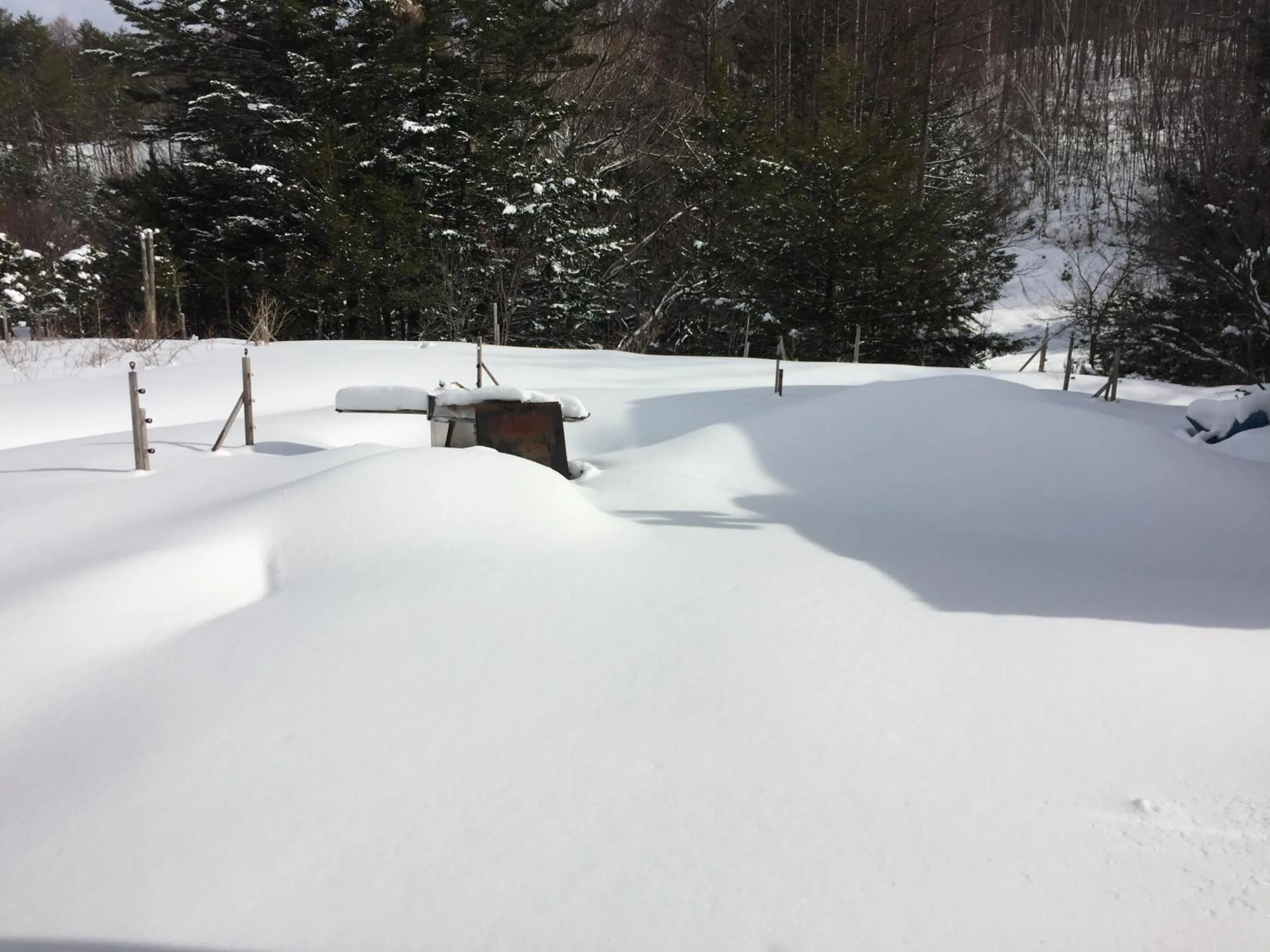 Guesthouse Hoshizora no Akari