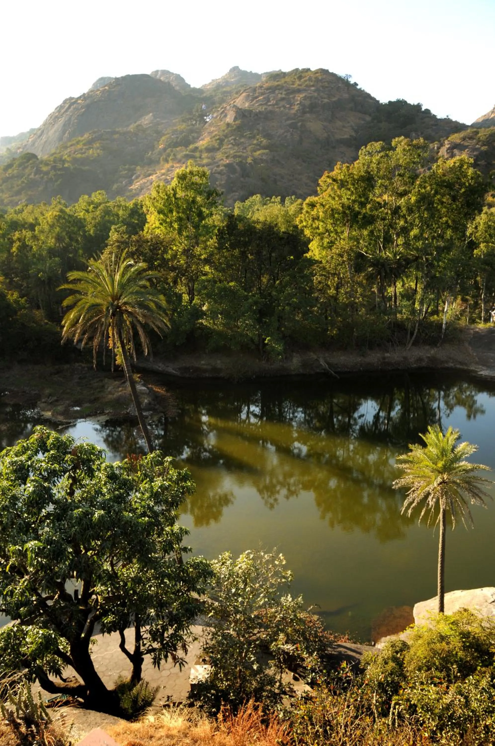 Palace Hotel - Bikaner House
