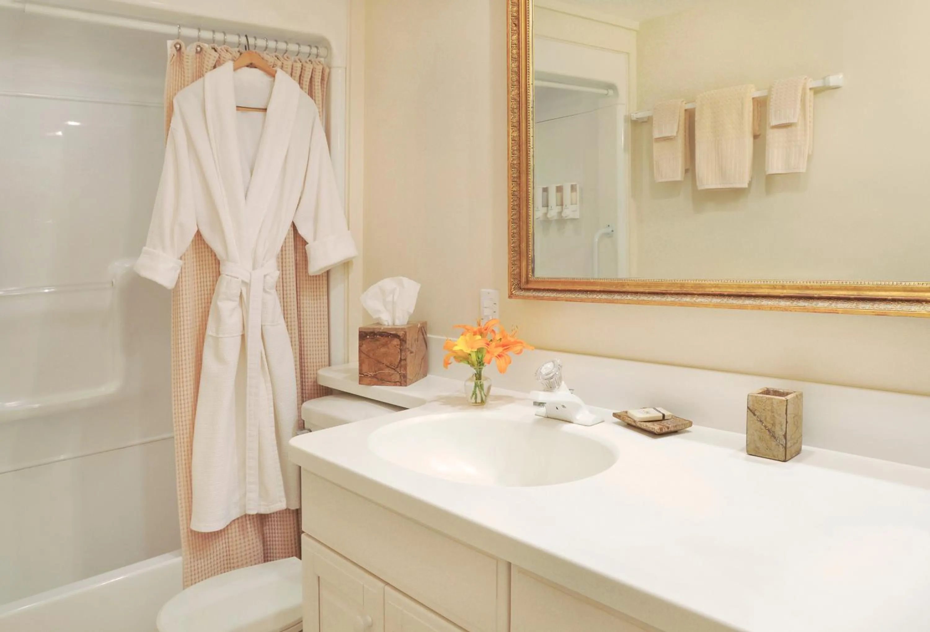 Bathroom in 1795 Acorn Inn Bed and Breakfast