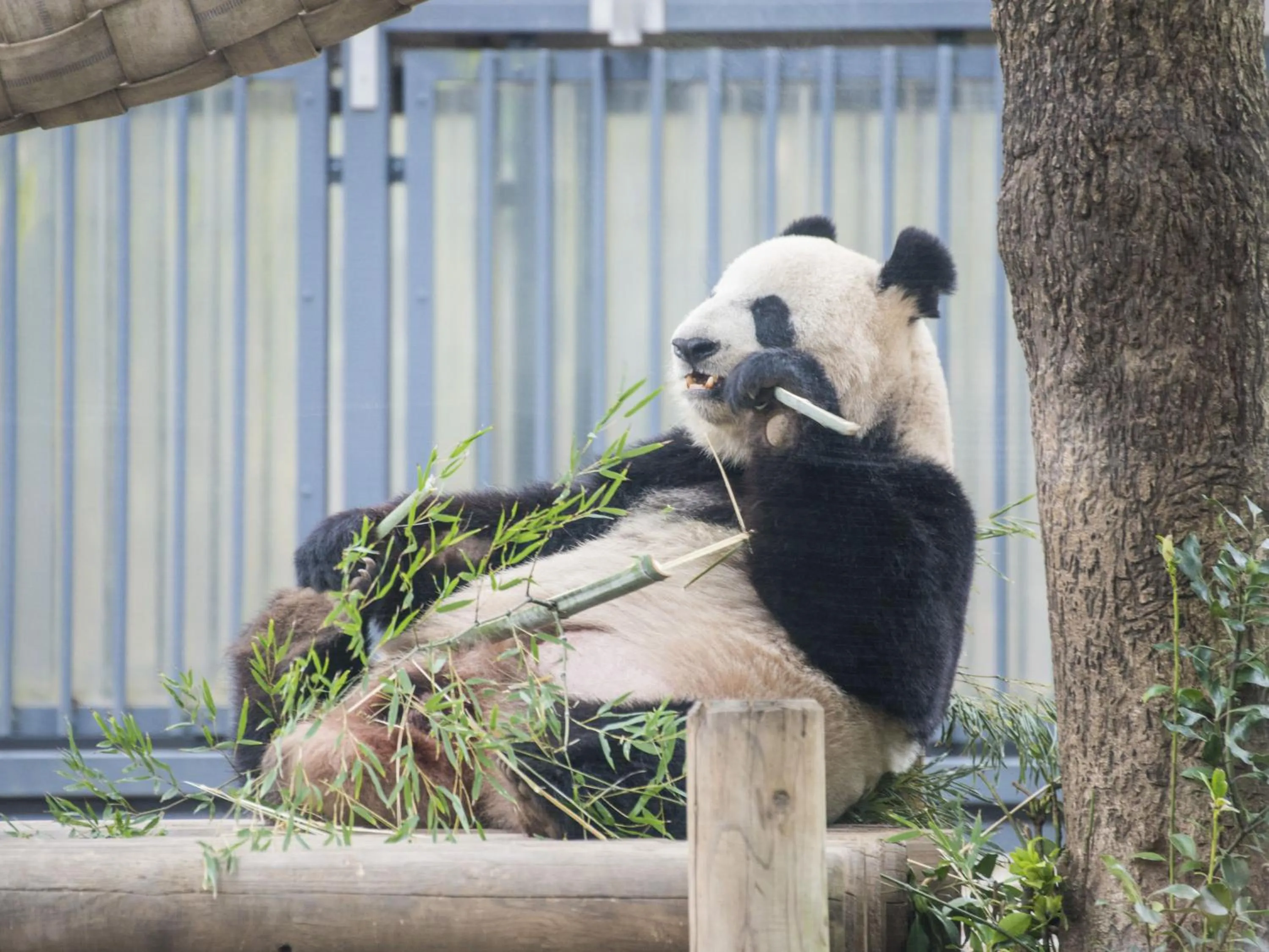 Nearby landmark in HOTEL MYSTAYS Ueno Iriyaguchi