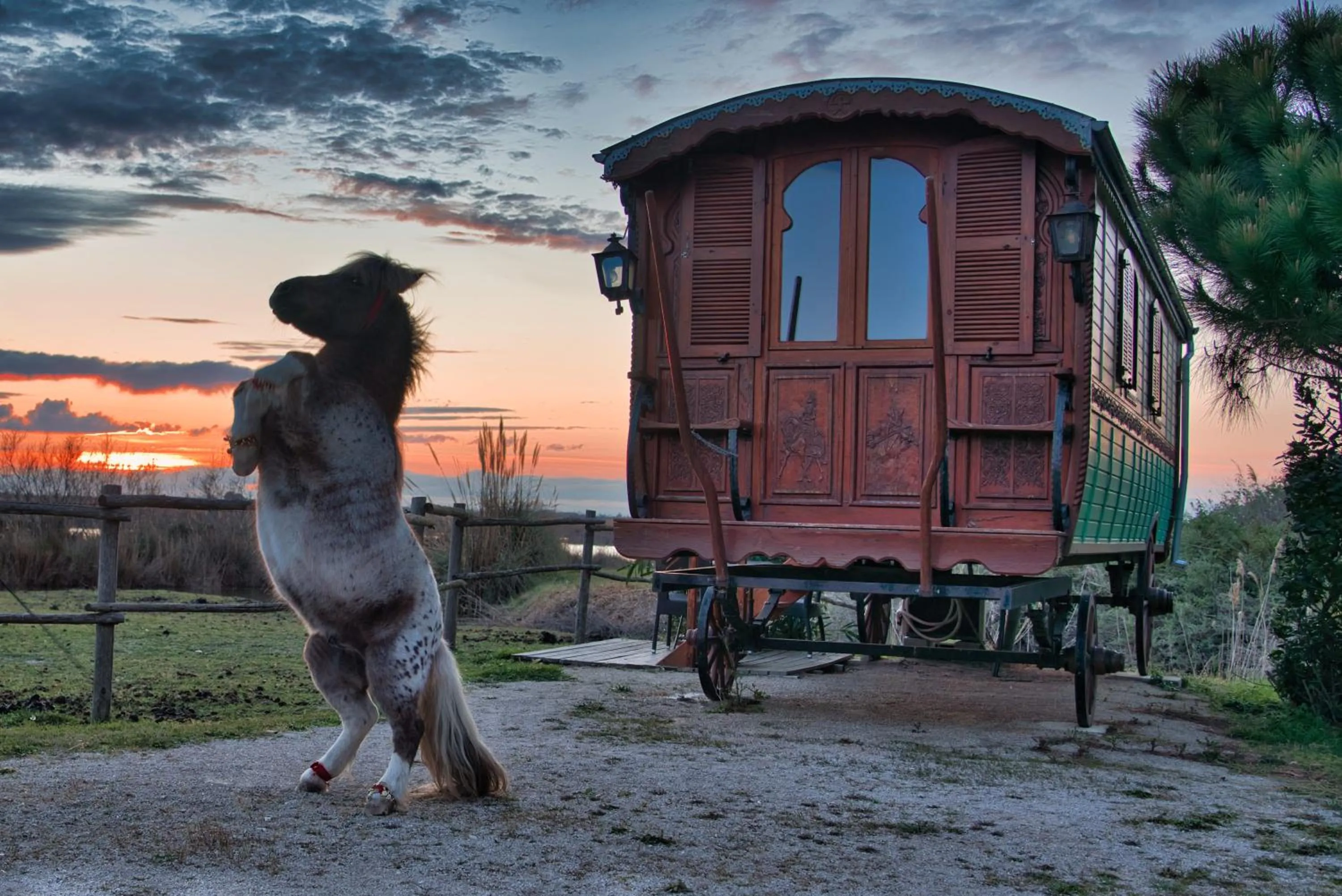 Garden view in Mas De Calabrun