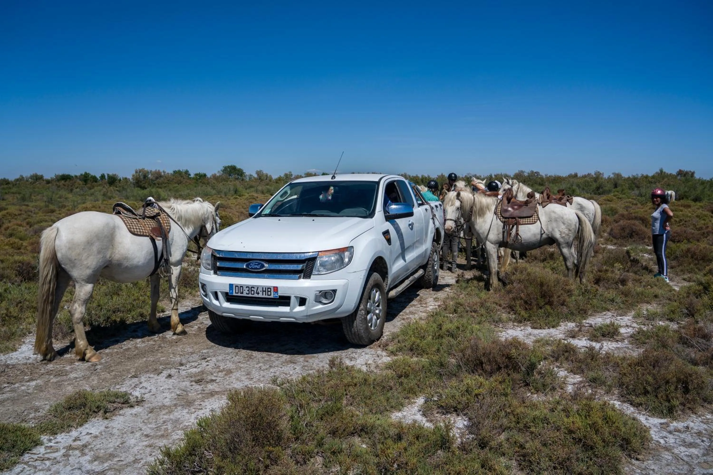 Horse-riding in Mas De Calabrun