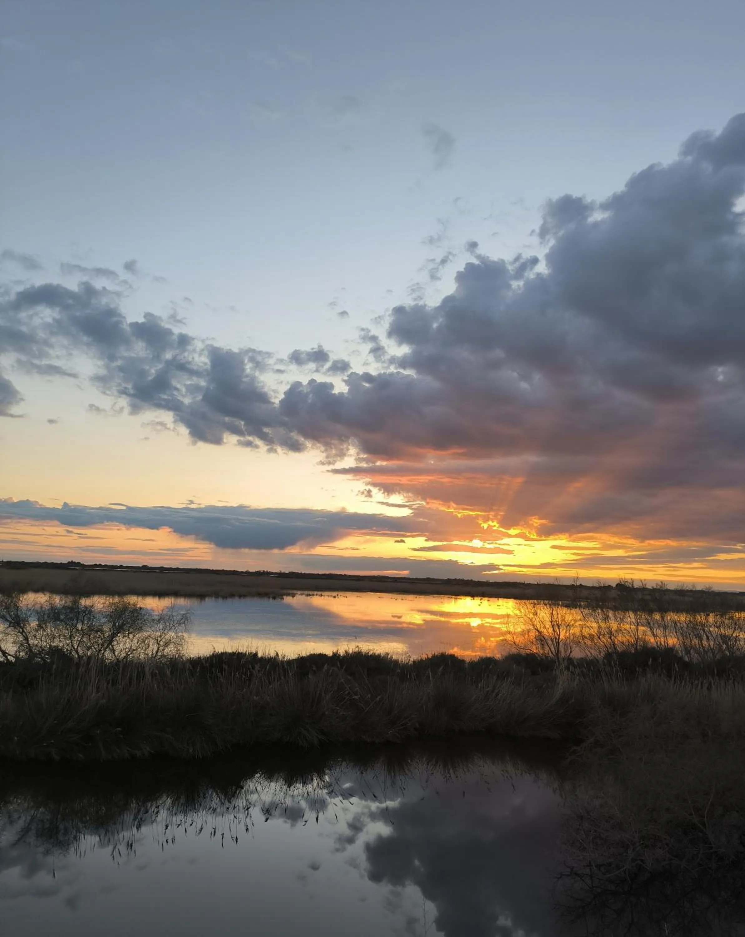 Garden in Mas De Calabrun