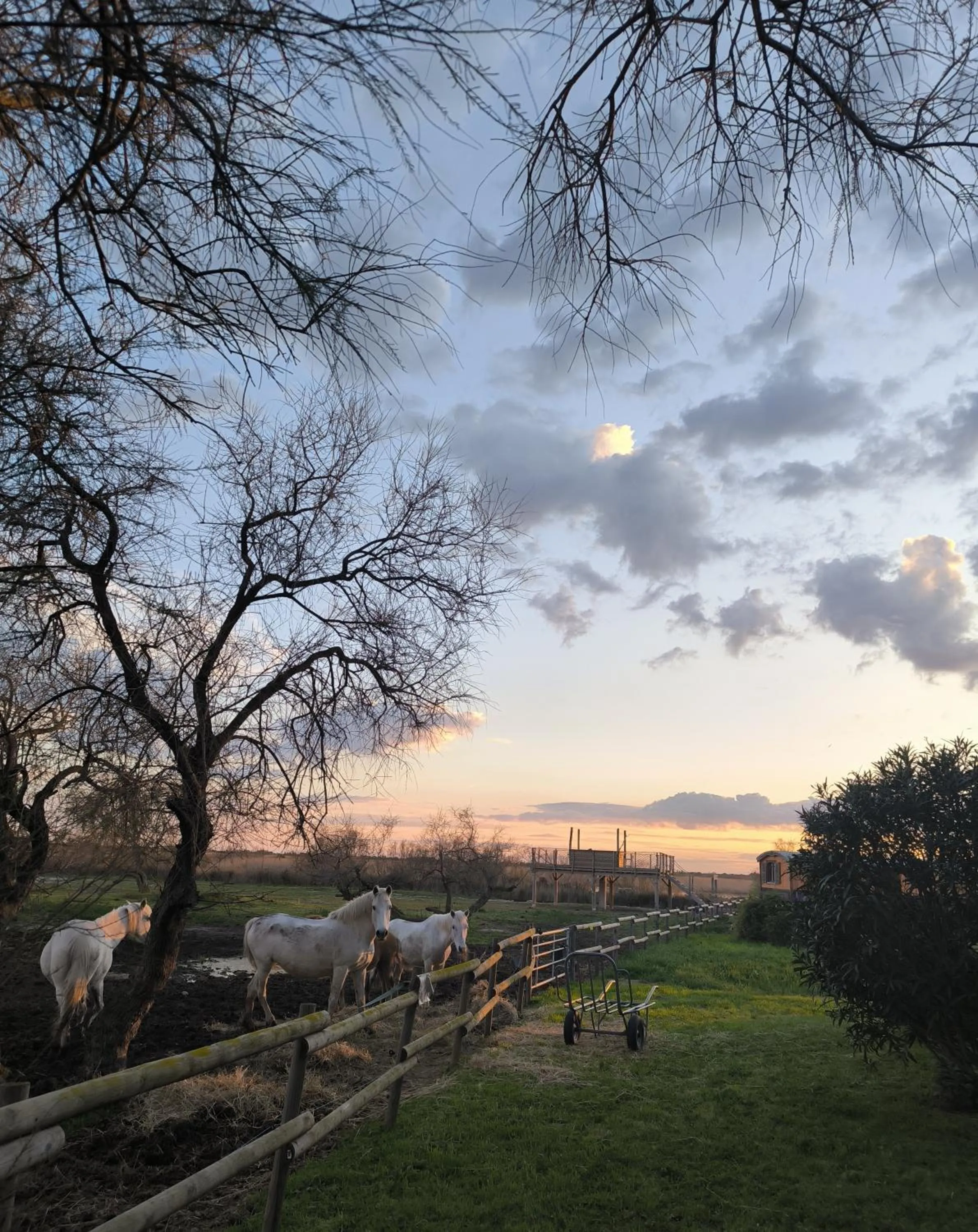 Natural landscape in Mas De Calabrun
