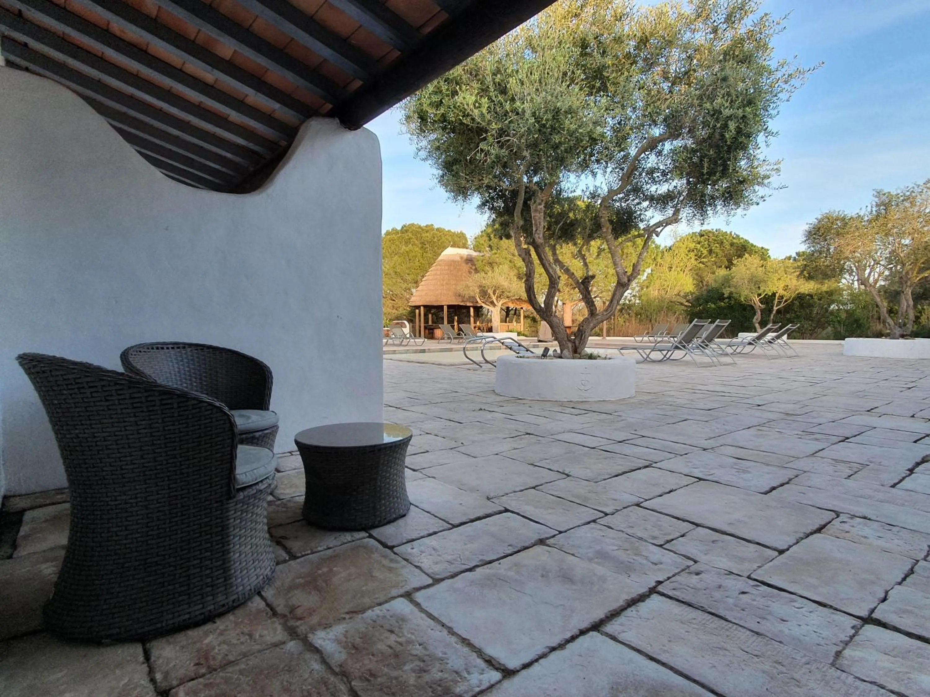 Patio in Mas De Calabrun