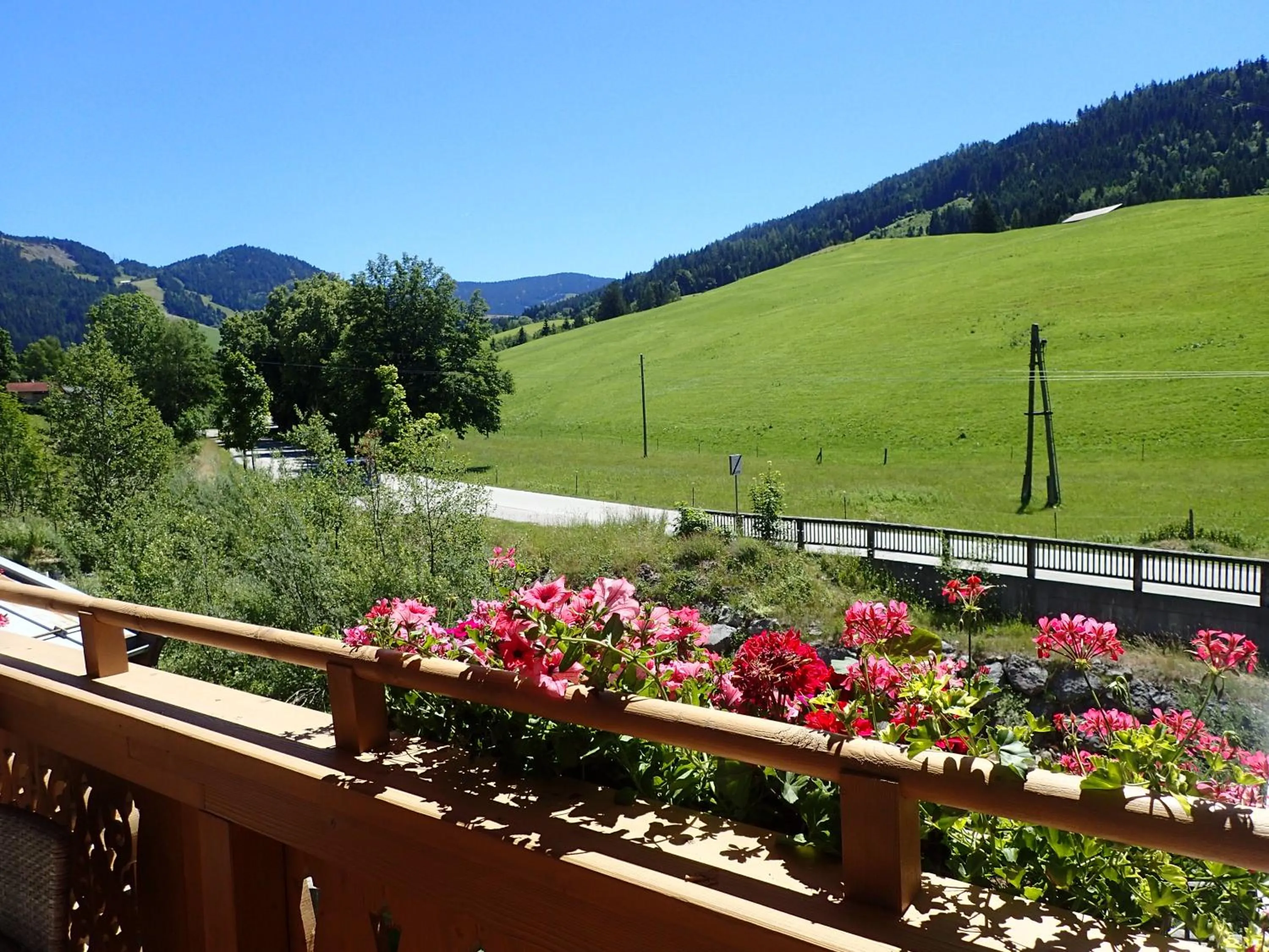 Mountain view in Hotel Sonnenlicht Maria Alm