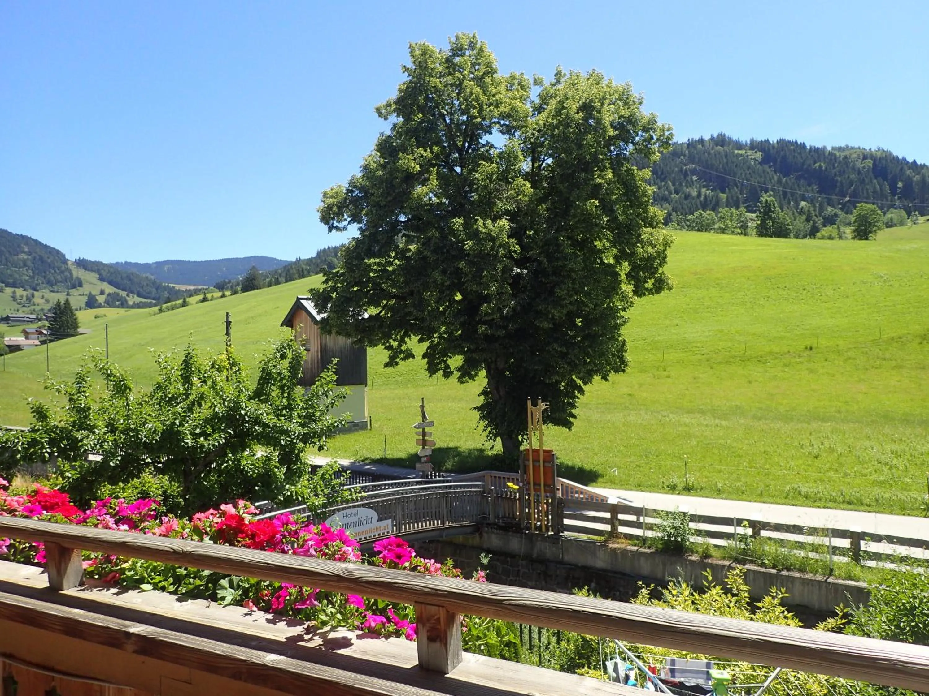 Mountain view in Hotel Sonnenlicht Maria Alm