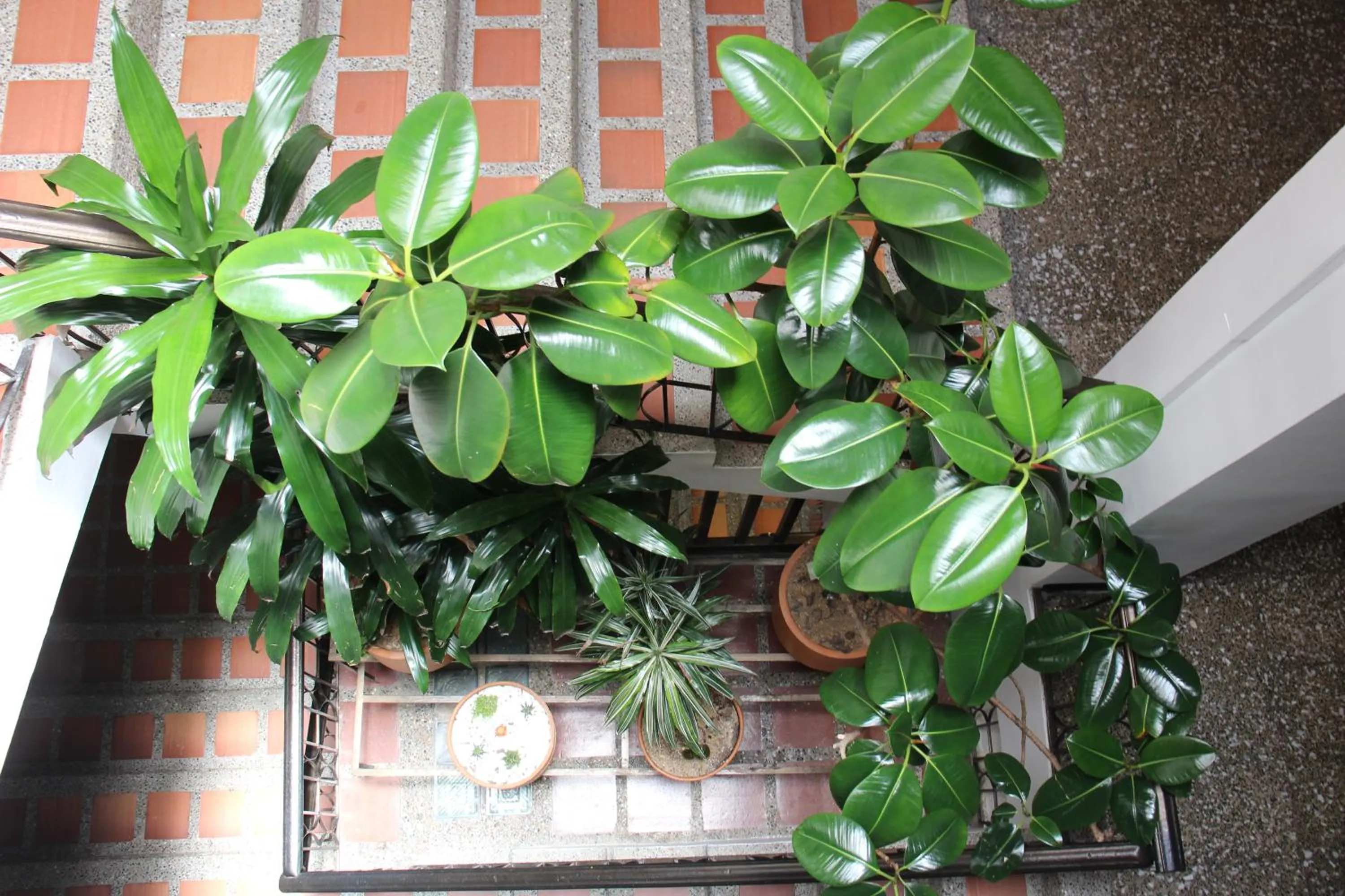 Hotel Plaza El Santuario