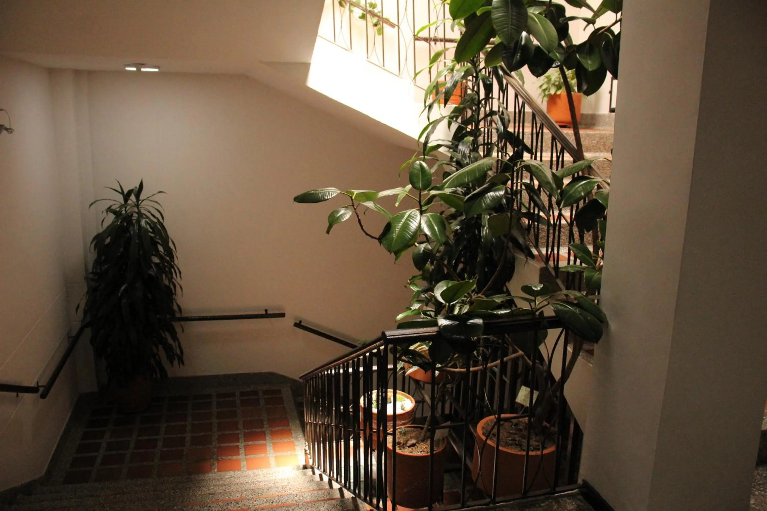 Hotel Plaza El Santuario