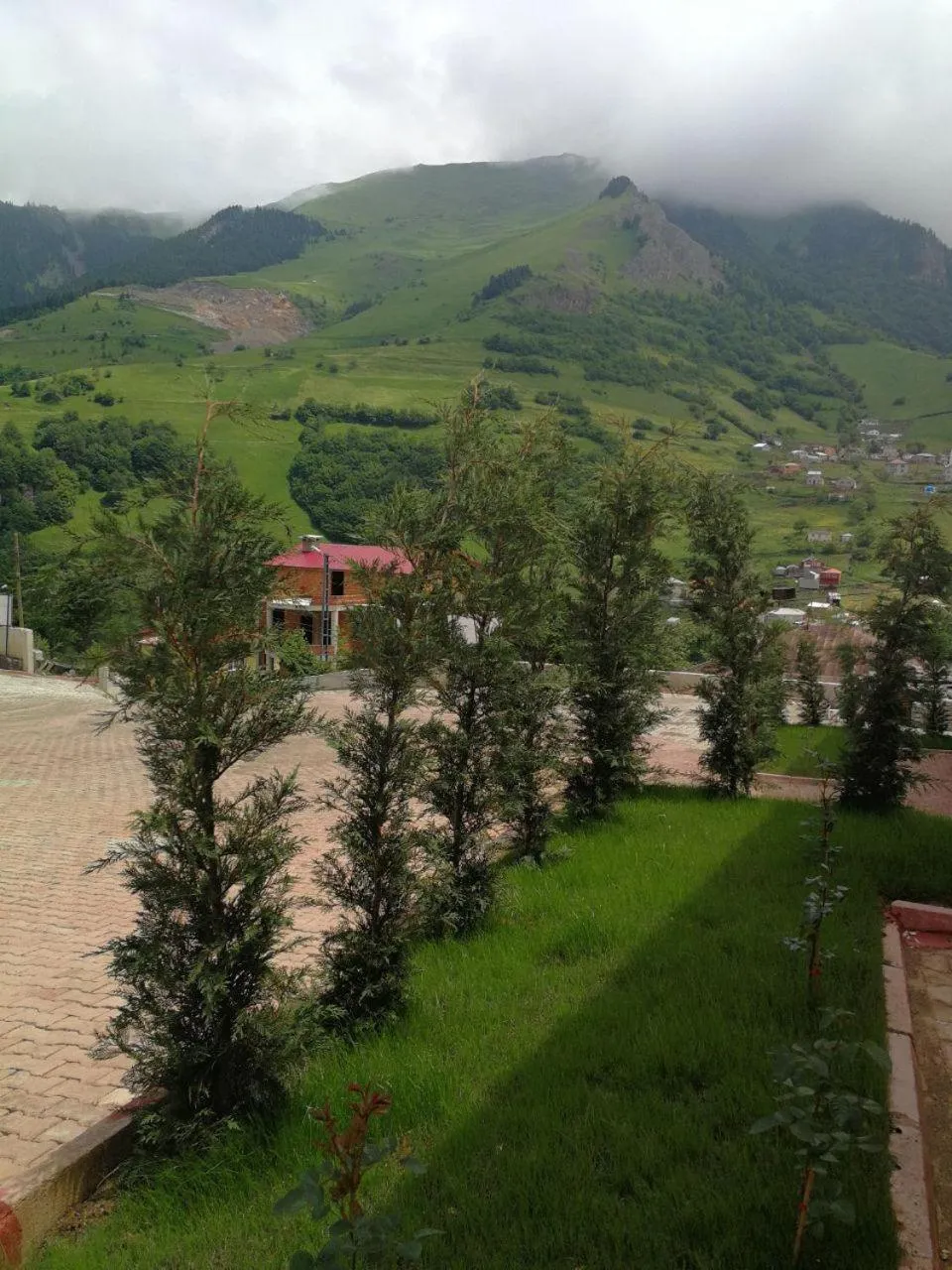 Garden view in Hamsikoy Hotel