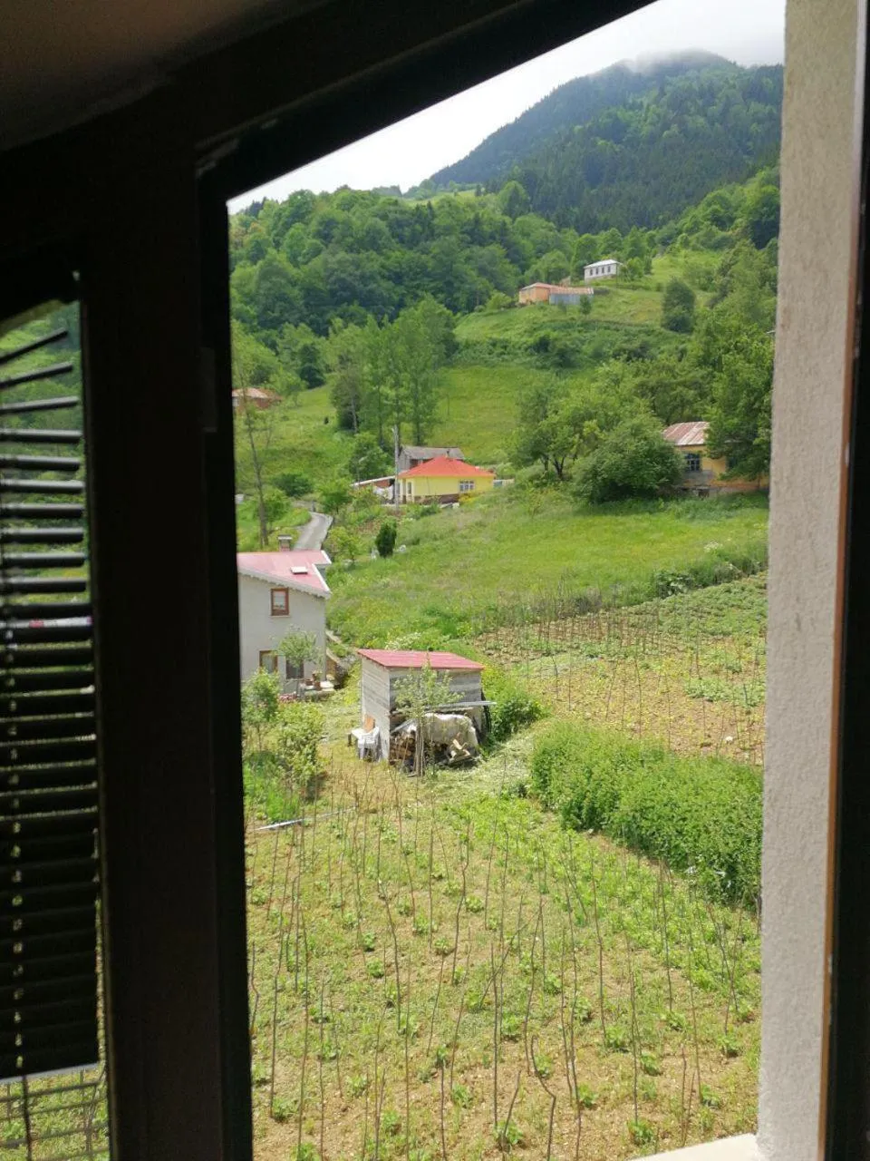 Mountain view in Hamsikoy Hotel
