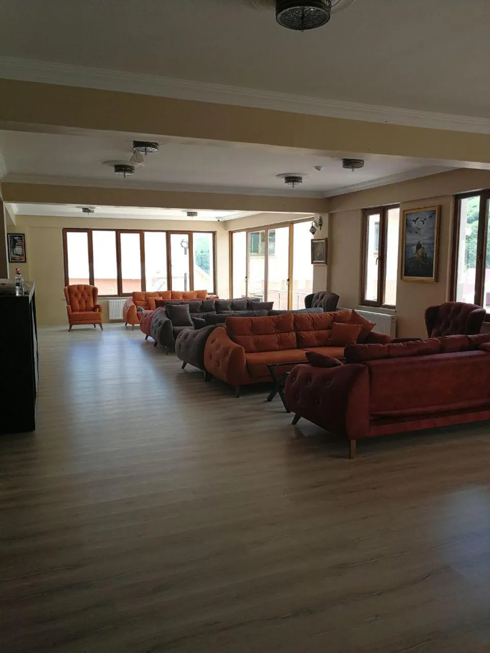 Communal lounge/ TV room in Hamsikoy Hotel