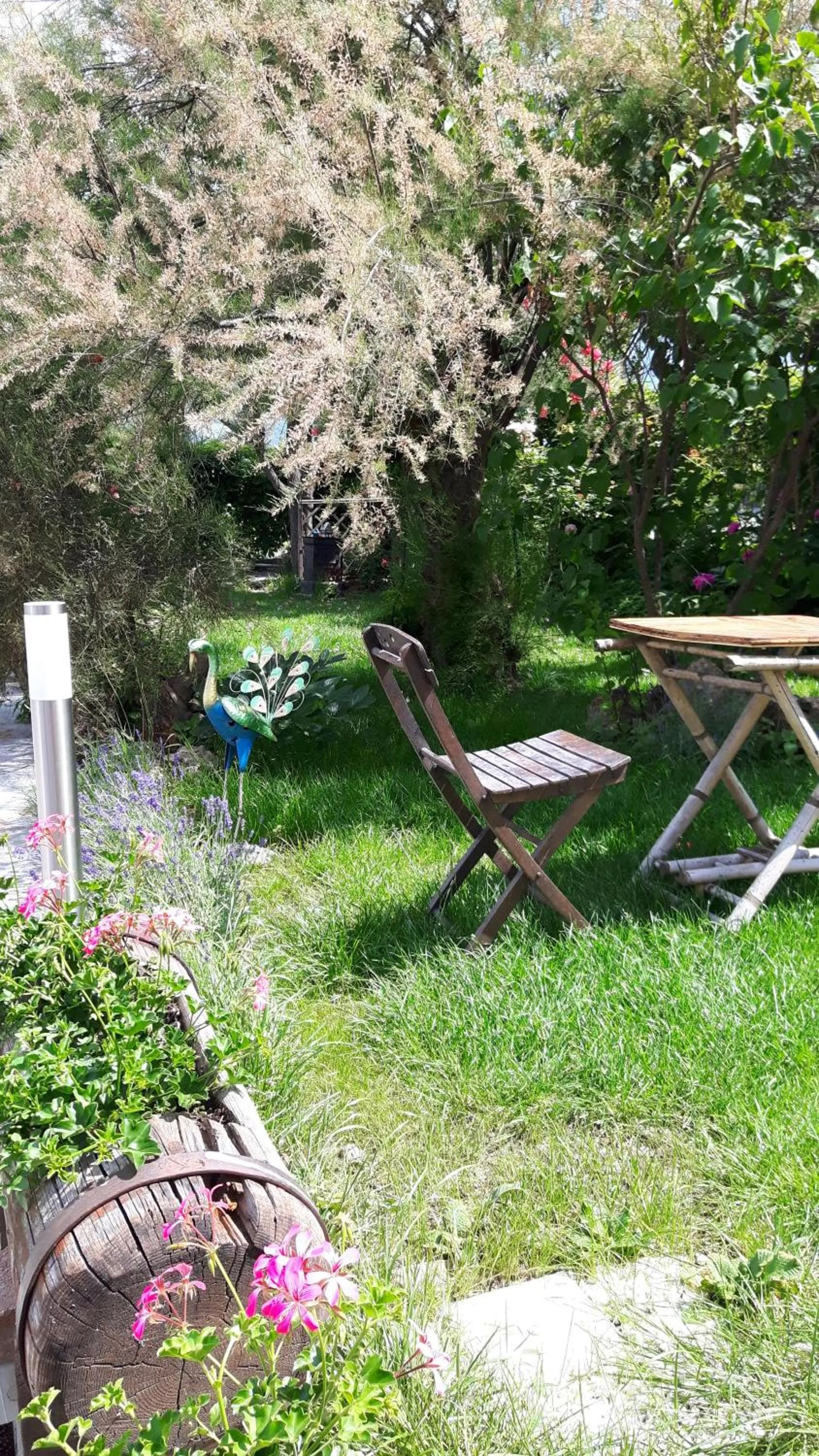 Garden in La locanda del Mulino