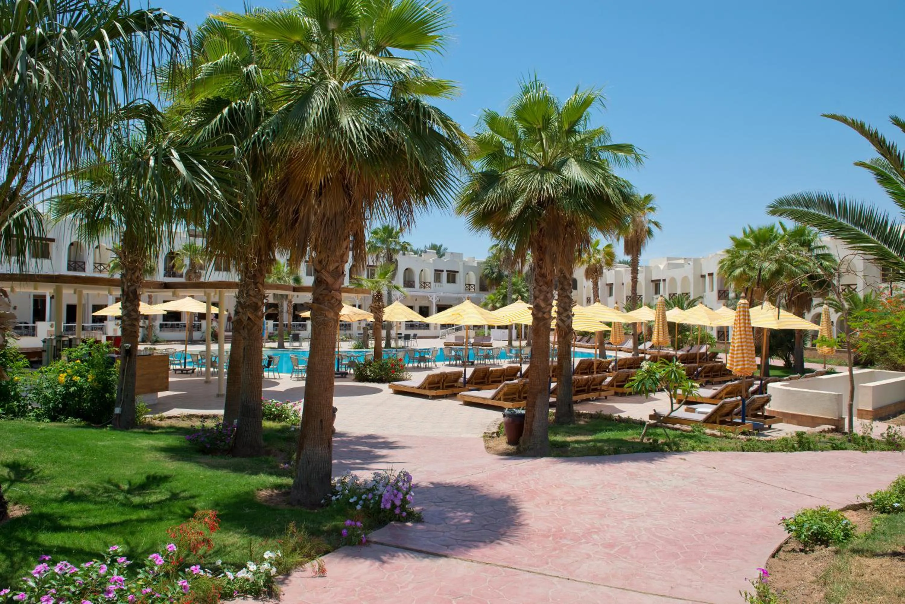 Swimming pool in Amphoras Aqua Adults Friendly