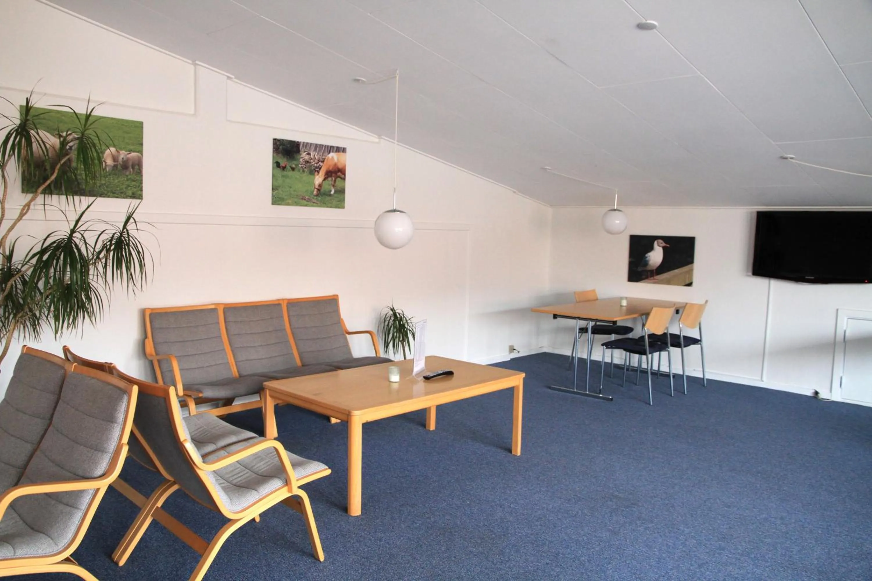 Communal lounge/ TV room in Danhostel Ribe