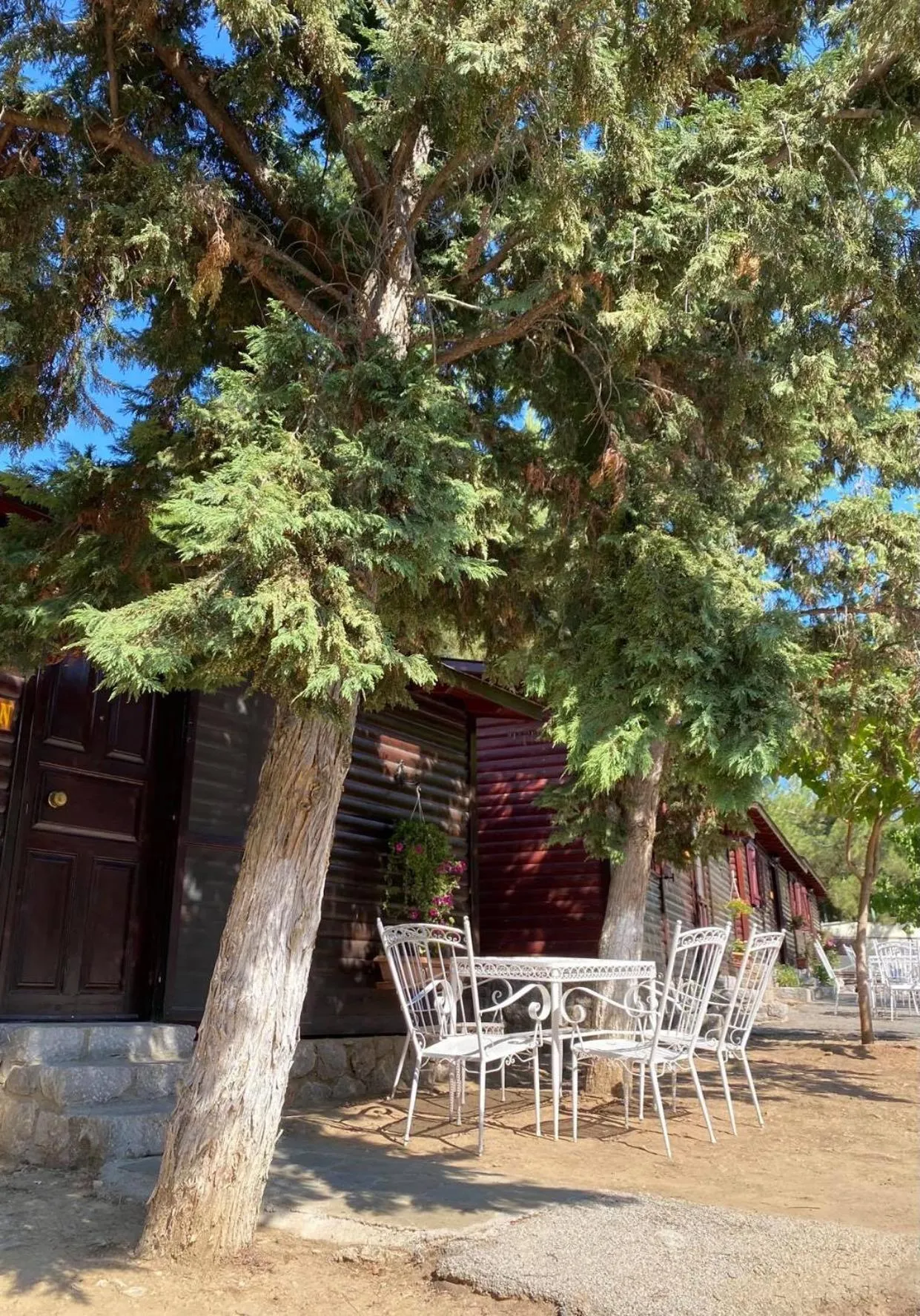  Bungalow (2 people) in Bungalow - Camping Apollon