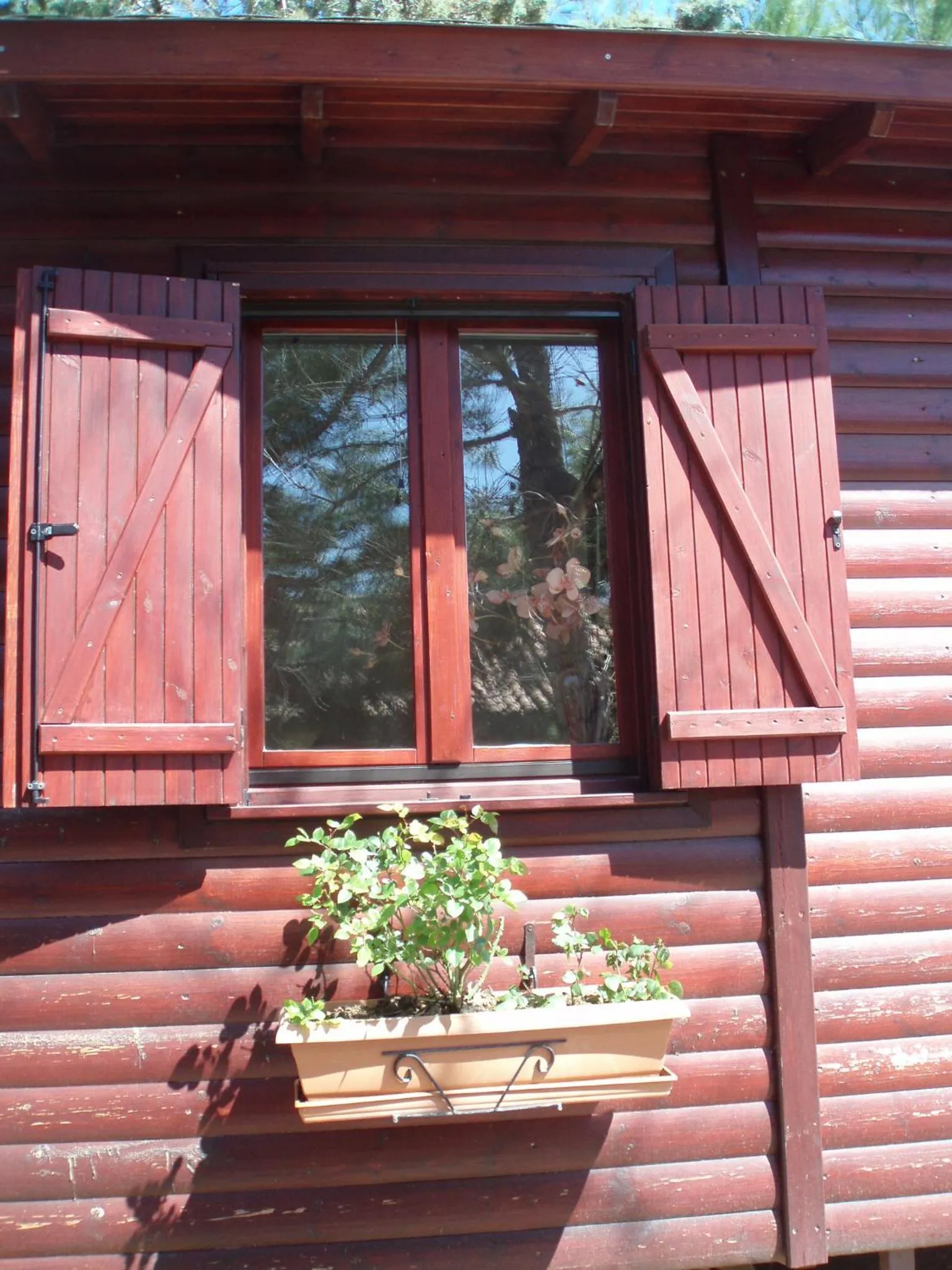 Patio in Bungalow - Camping Apollon