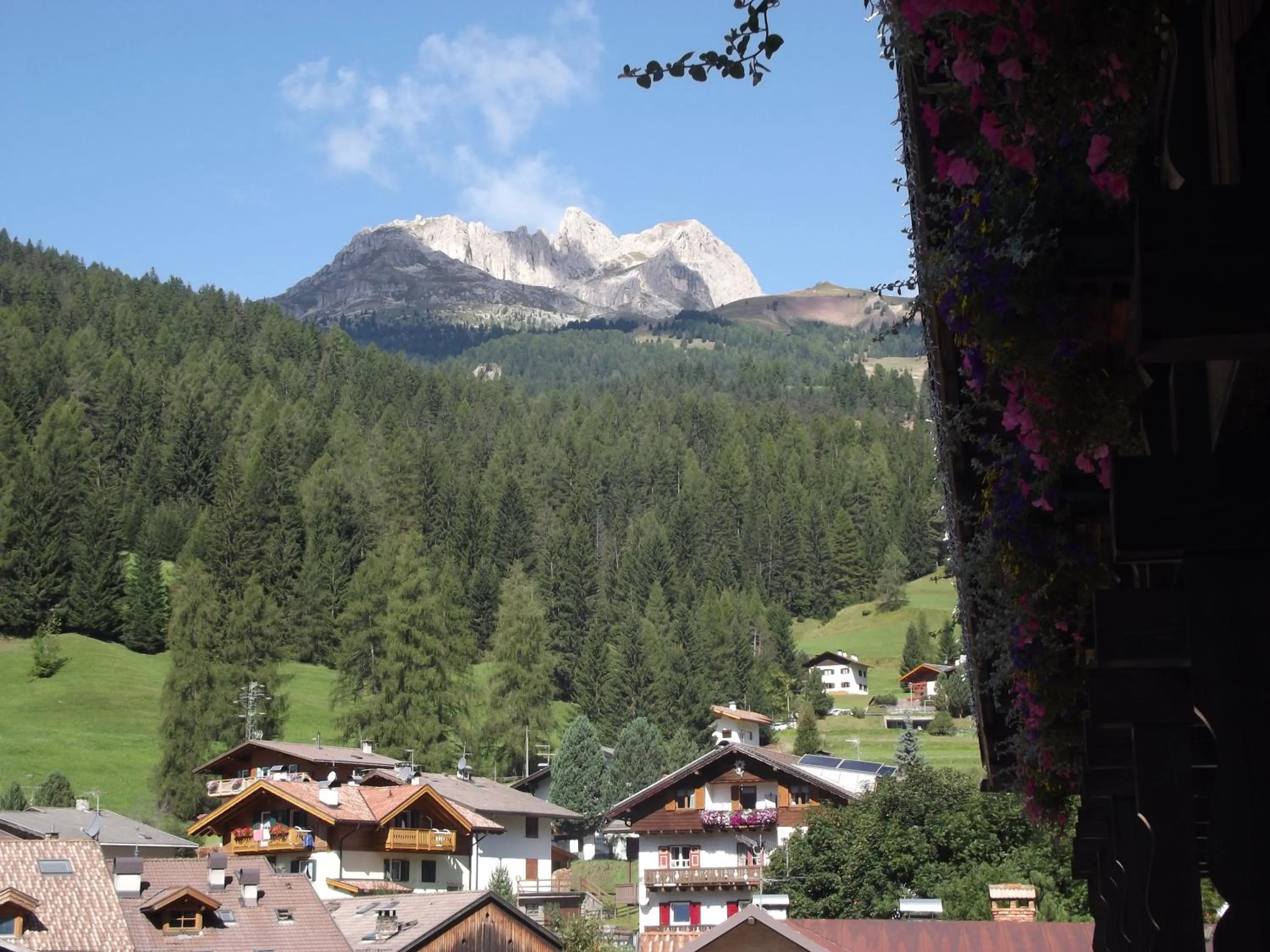 View (from property/room) in Park Hotel Avisio