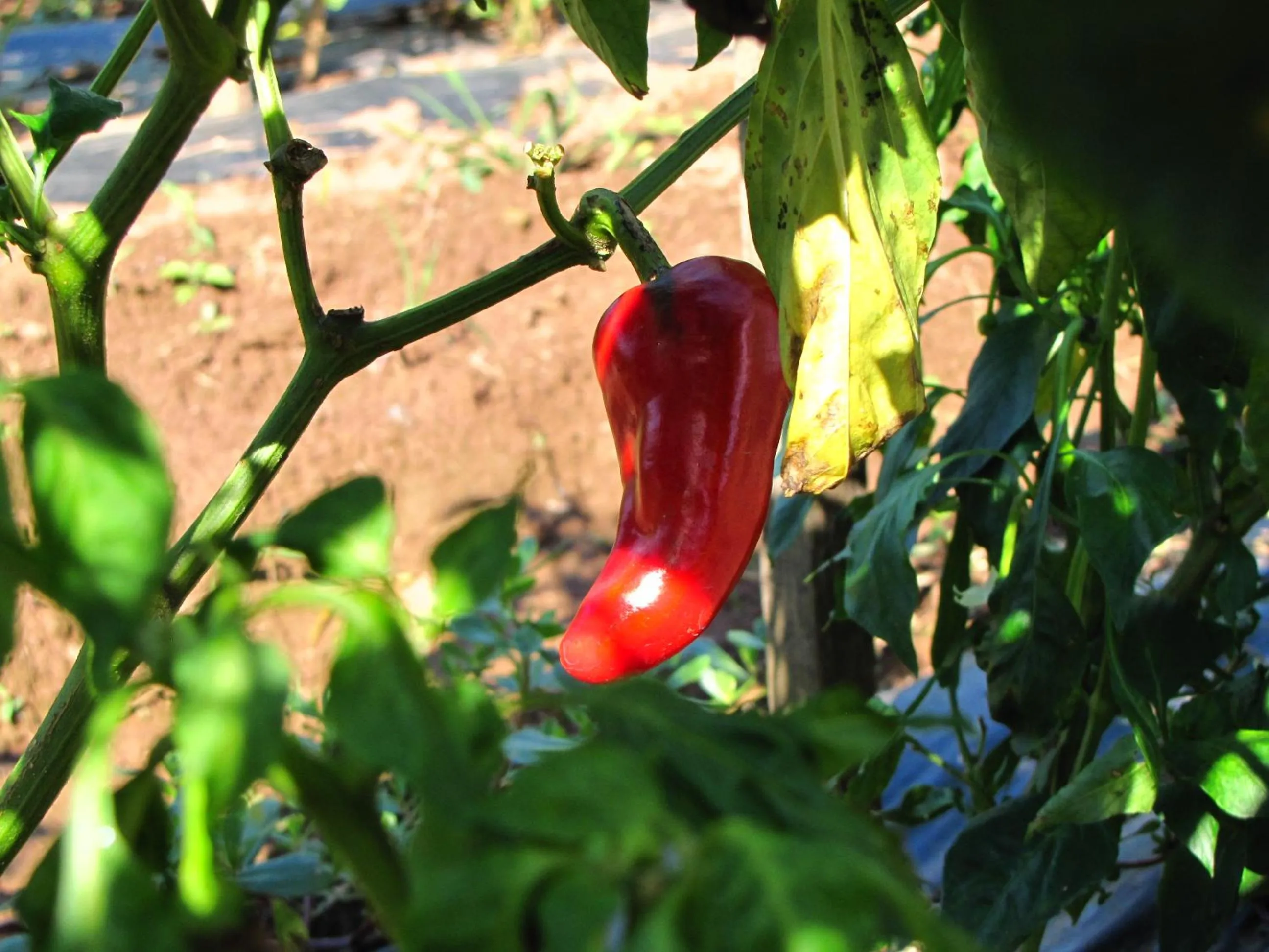 Off site in Hôtel Ursula