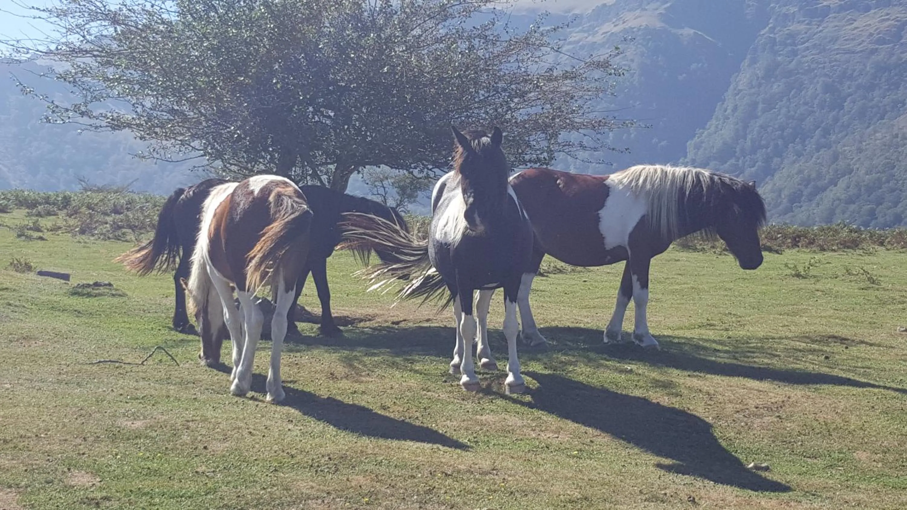 Activities in Hôtel Ursula