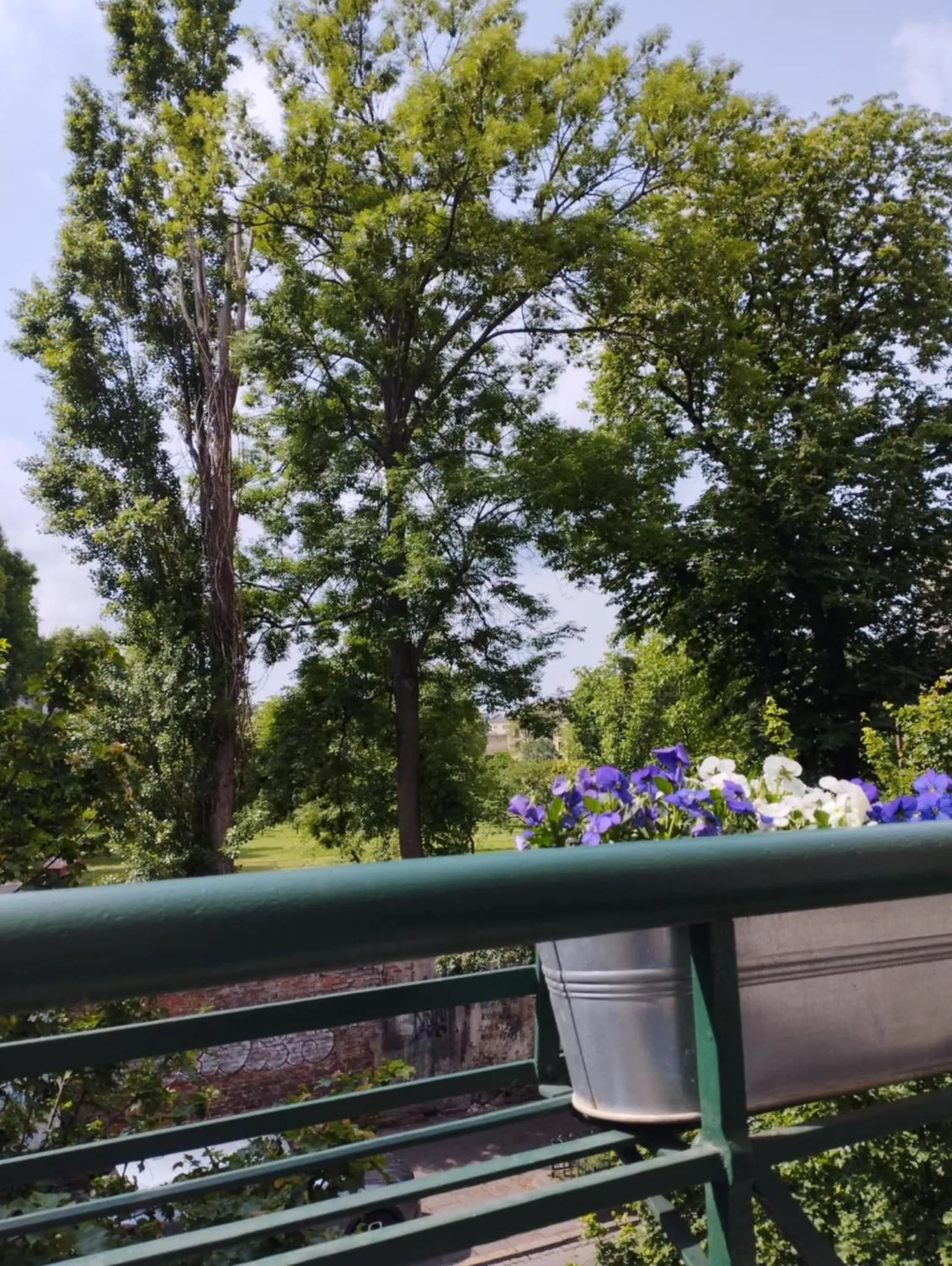 Balcony/Terrace in Angel House Aparthotel
