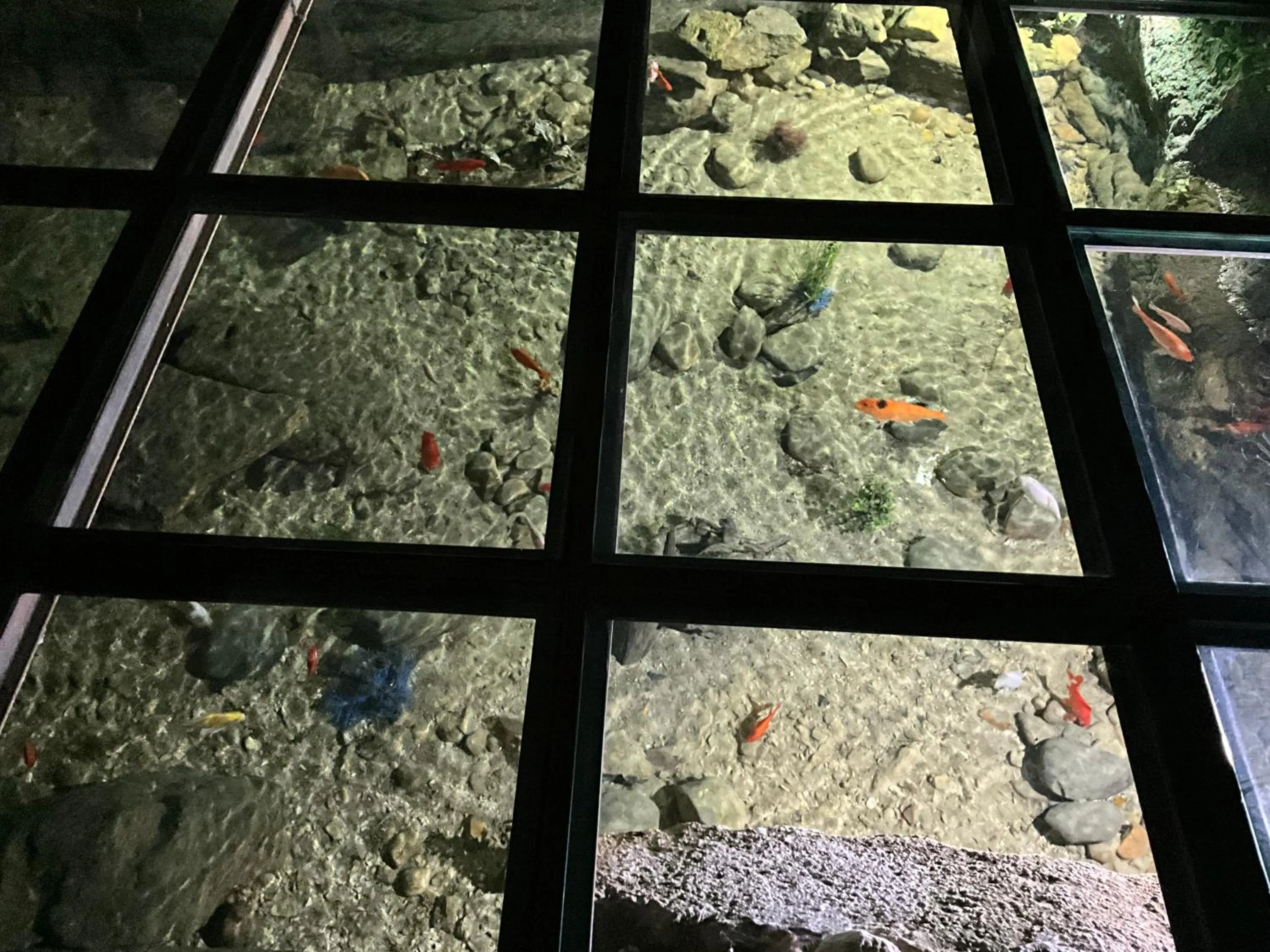 Property building in Le Moulin de Mayence