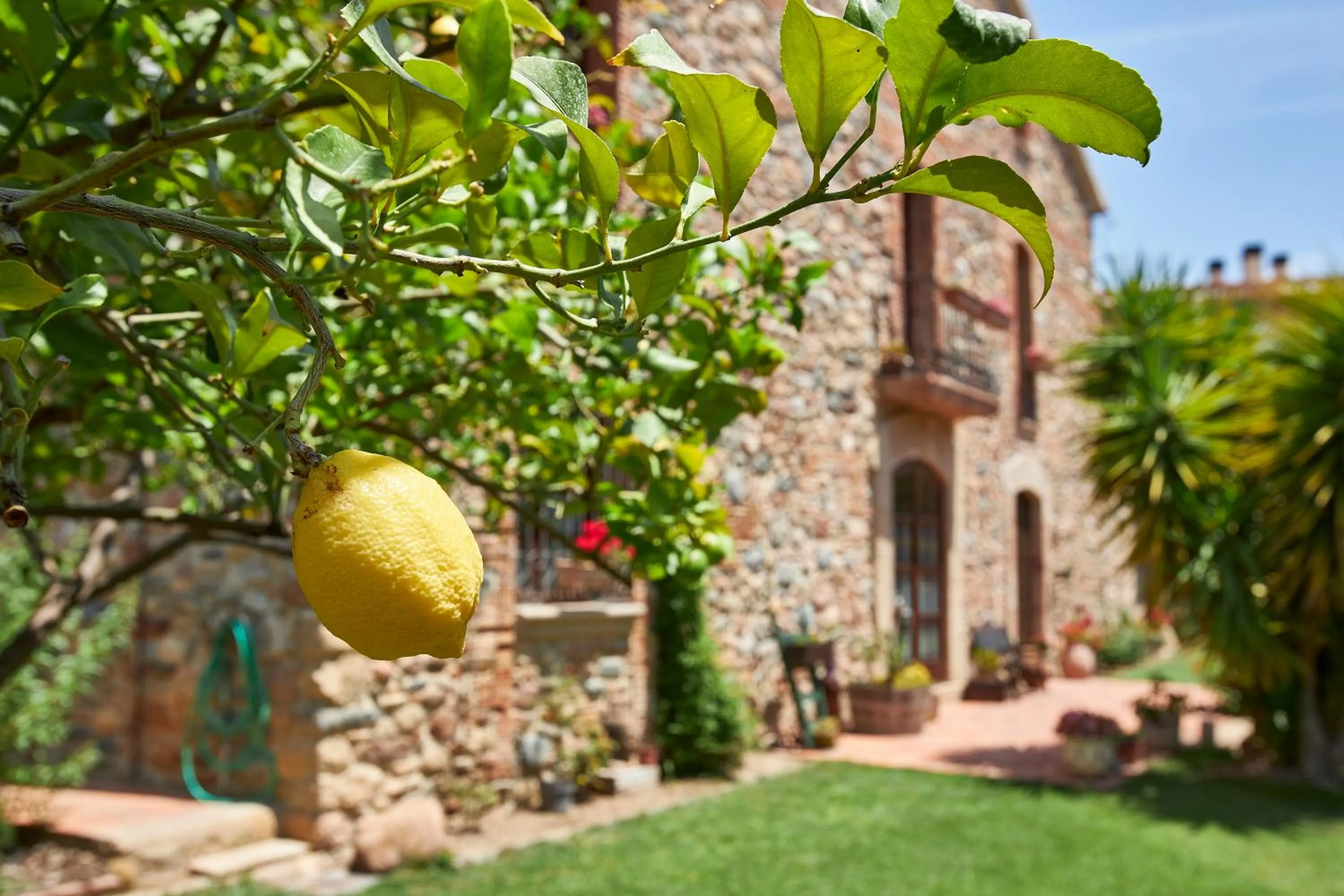 Property building in Rincón de piedra BCN