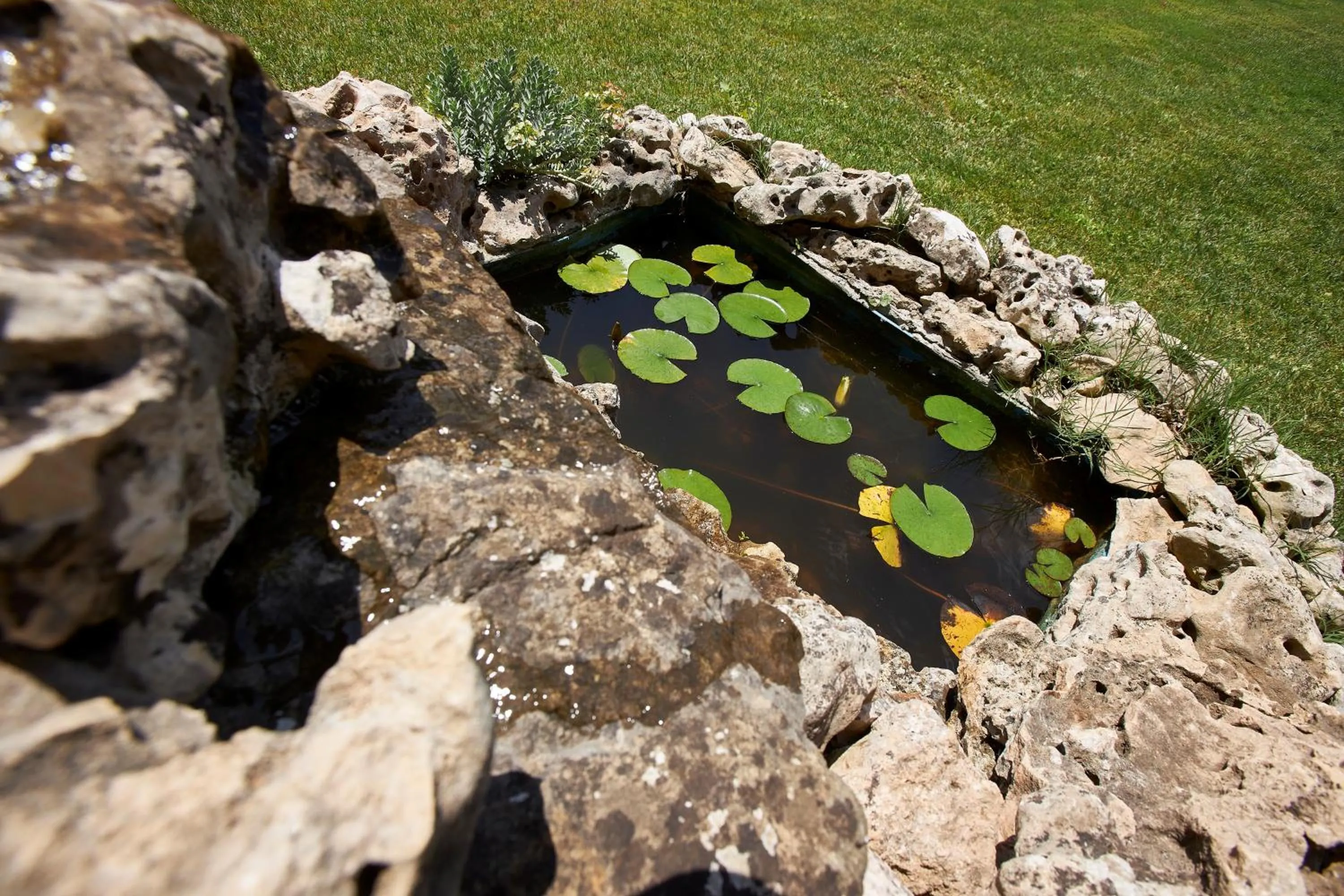 Off site in Rincón de piedra BCN