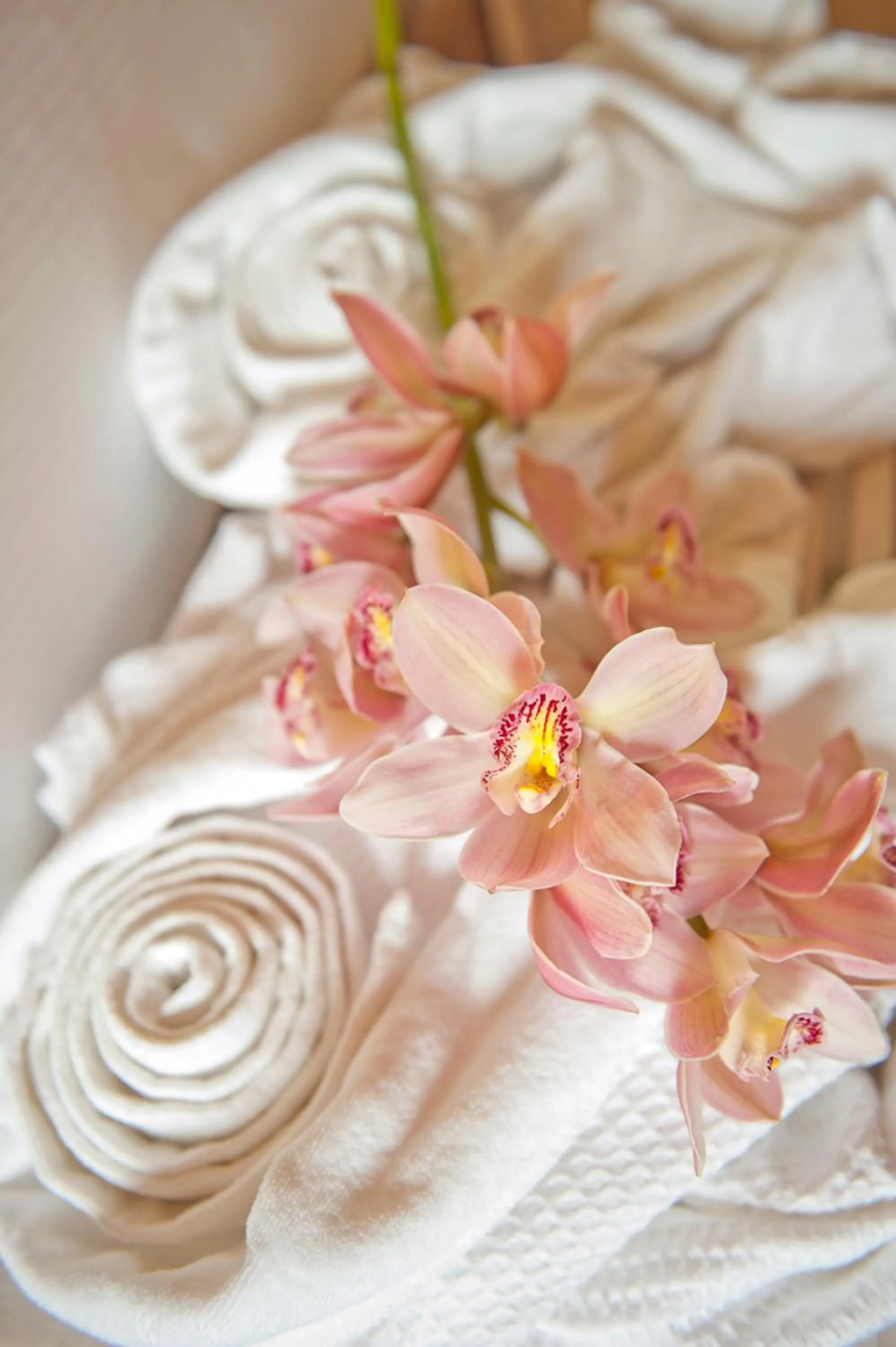 Decorative detail in Sofitel Legend Santa Clara Cartagena