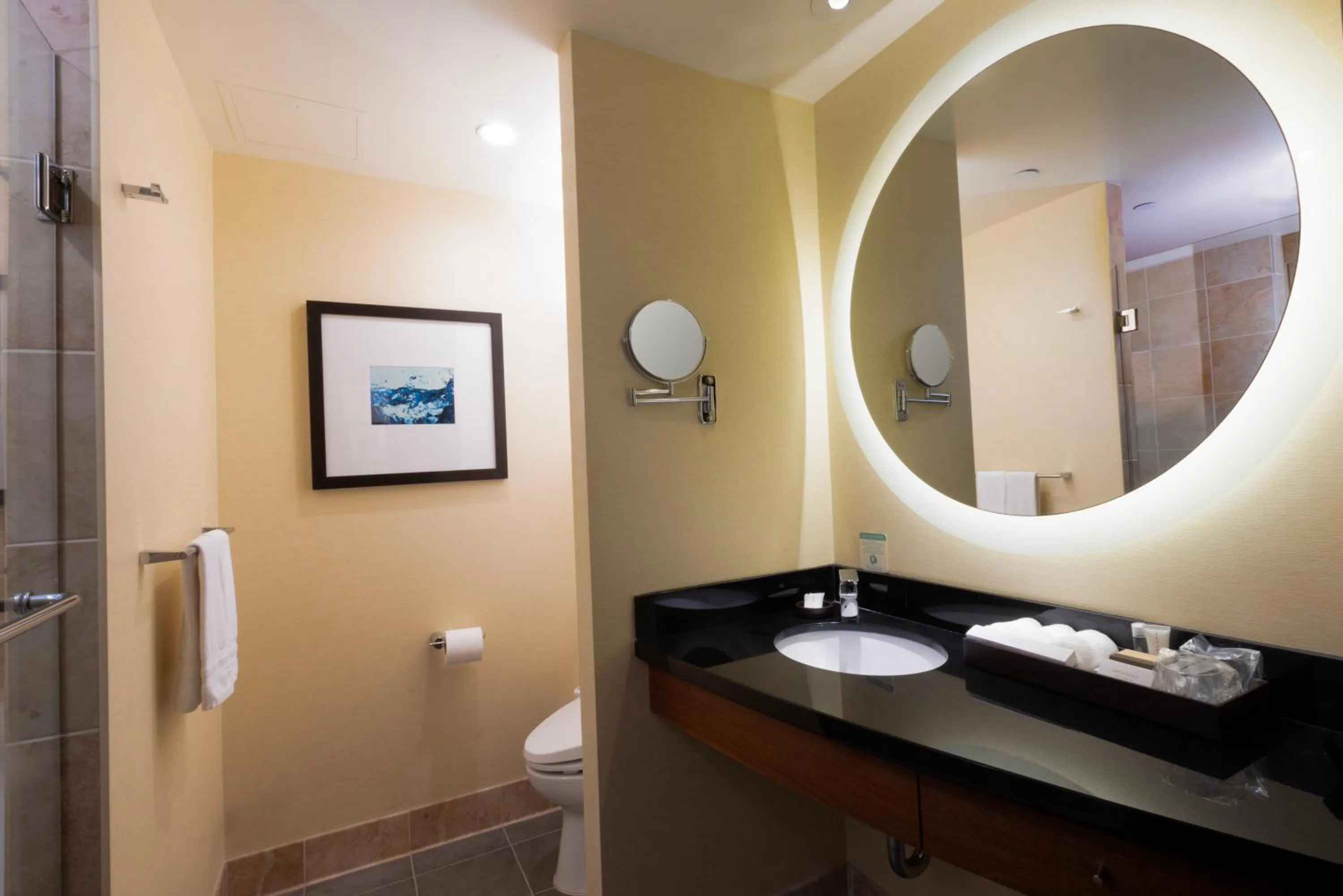 Bathroom in Miyako Hybrid Hotel Torrance