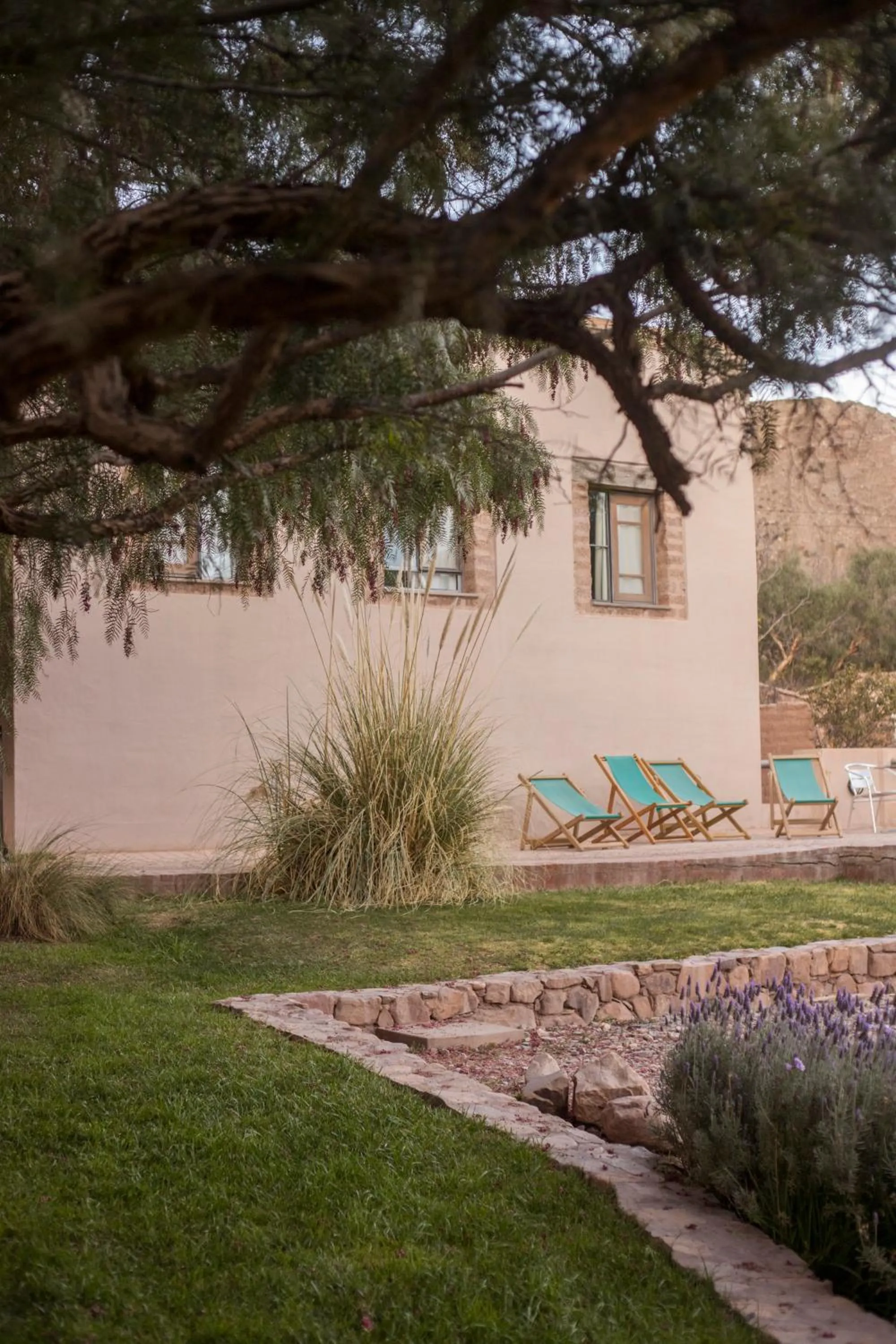 Garden in Patio Alto