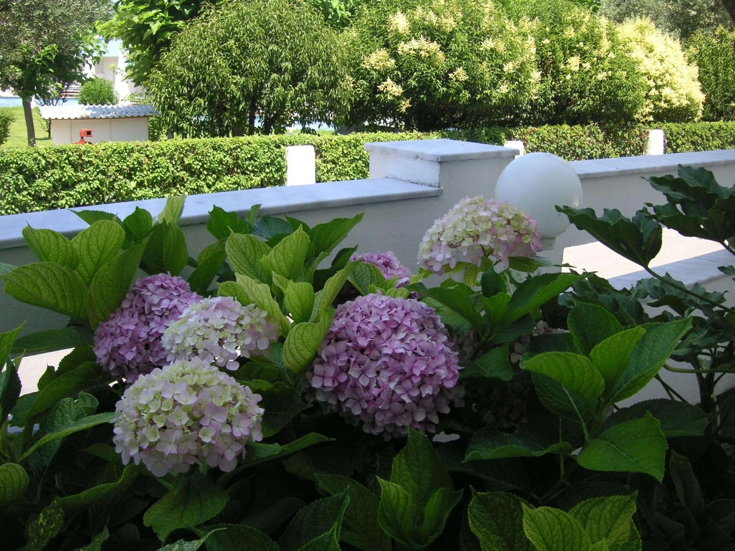 Garden in Danae Hotel