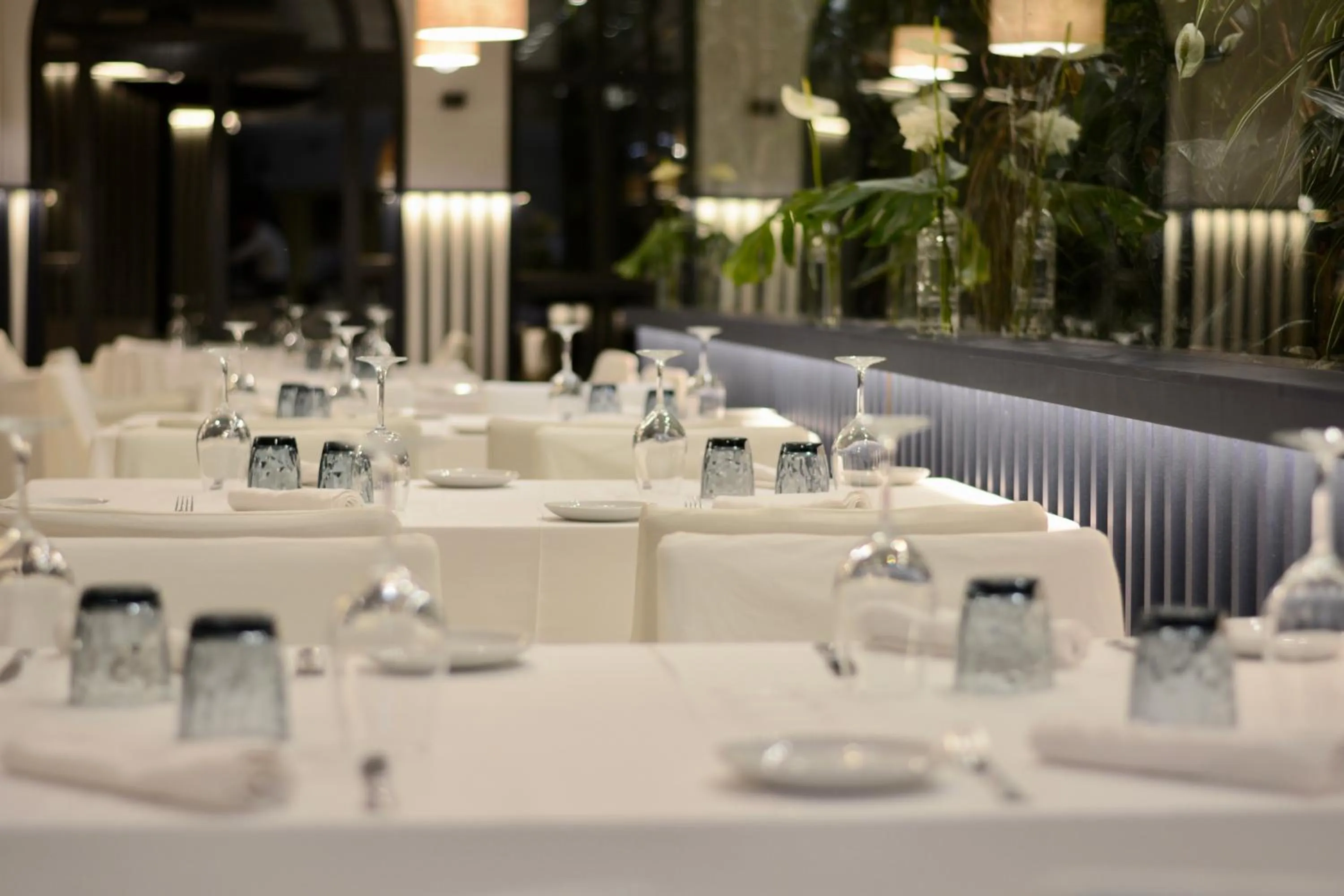 Restaurant/places to eat in Hotel Olimpo
