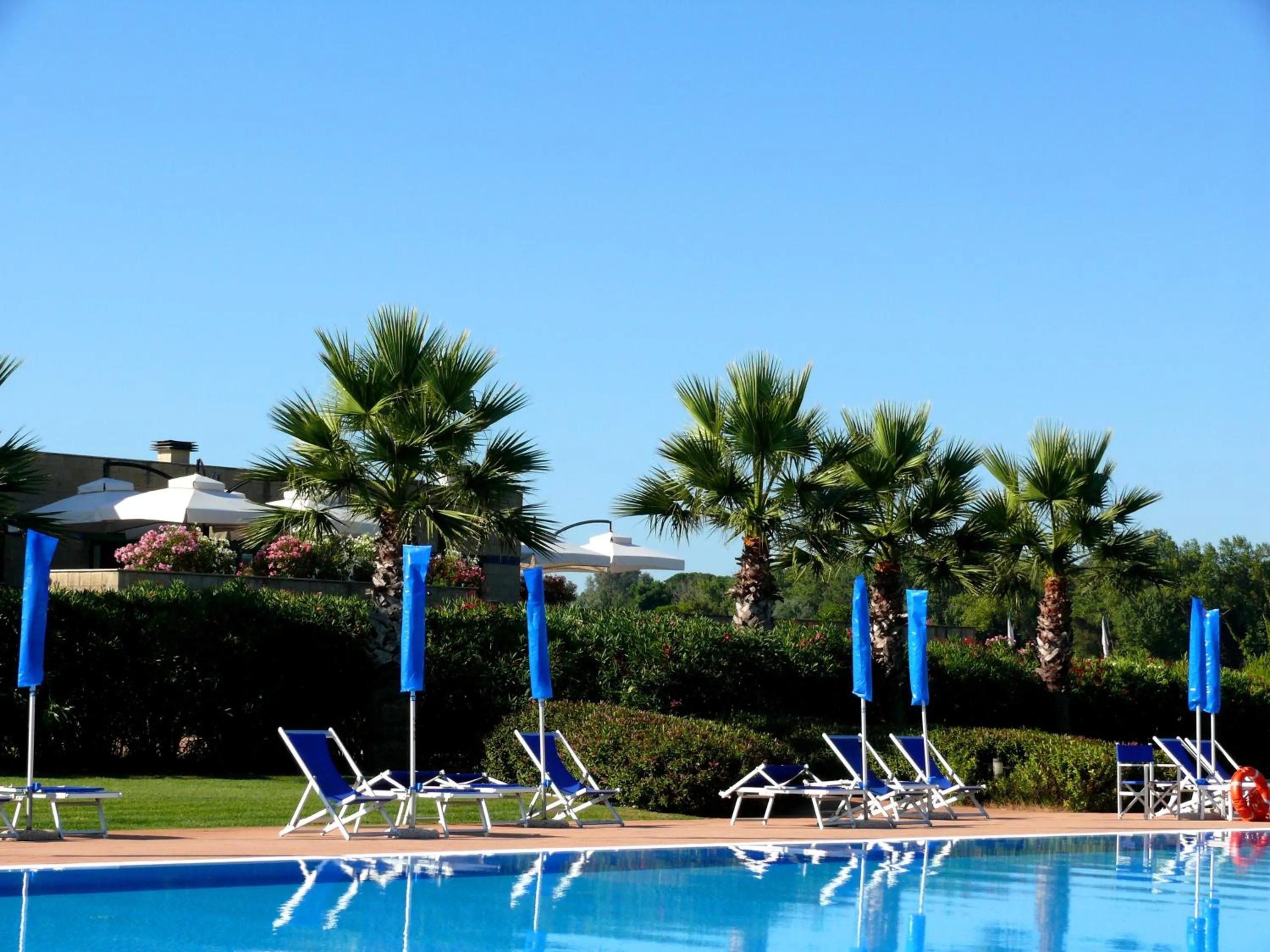 Swimming pool in Cosmopolitan Golf & Beach Resort