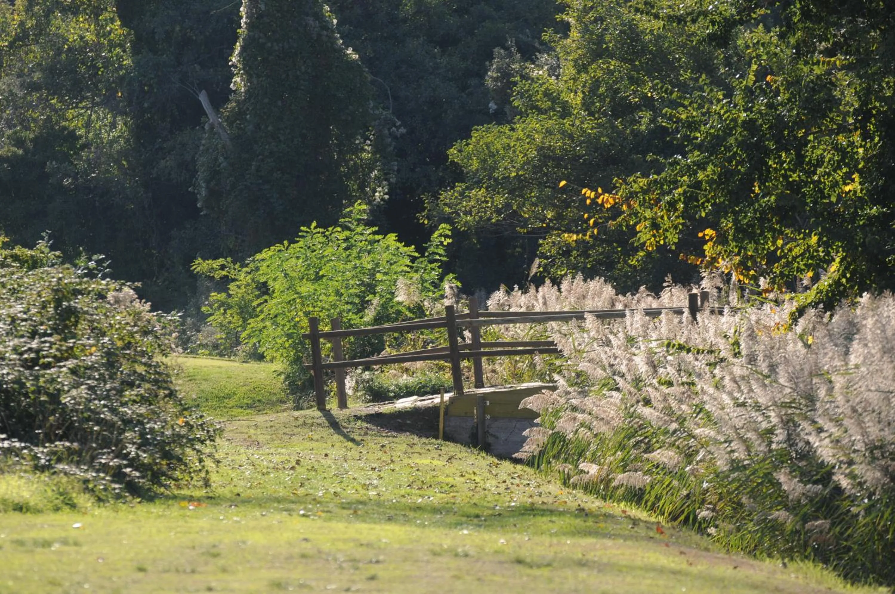 Golfcourse in Cosmopolitan Golf & Beach Resort
