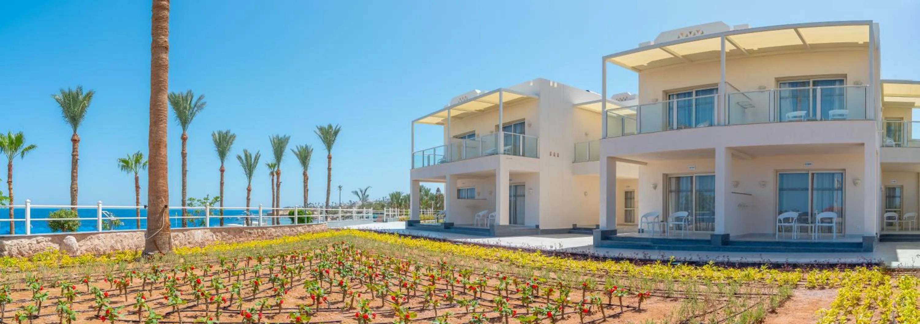 Day in Pickalbatros Royal Grand Sharm - Adults Friendly 16 Years Plus