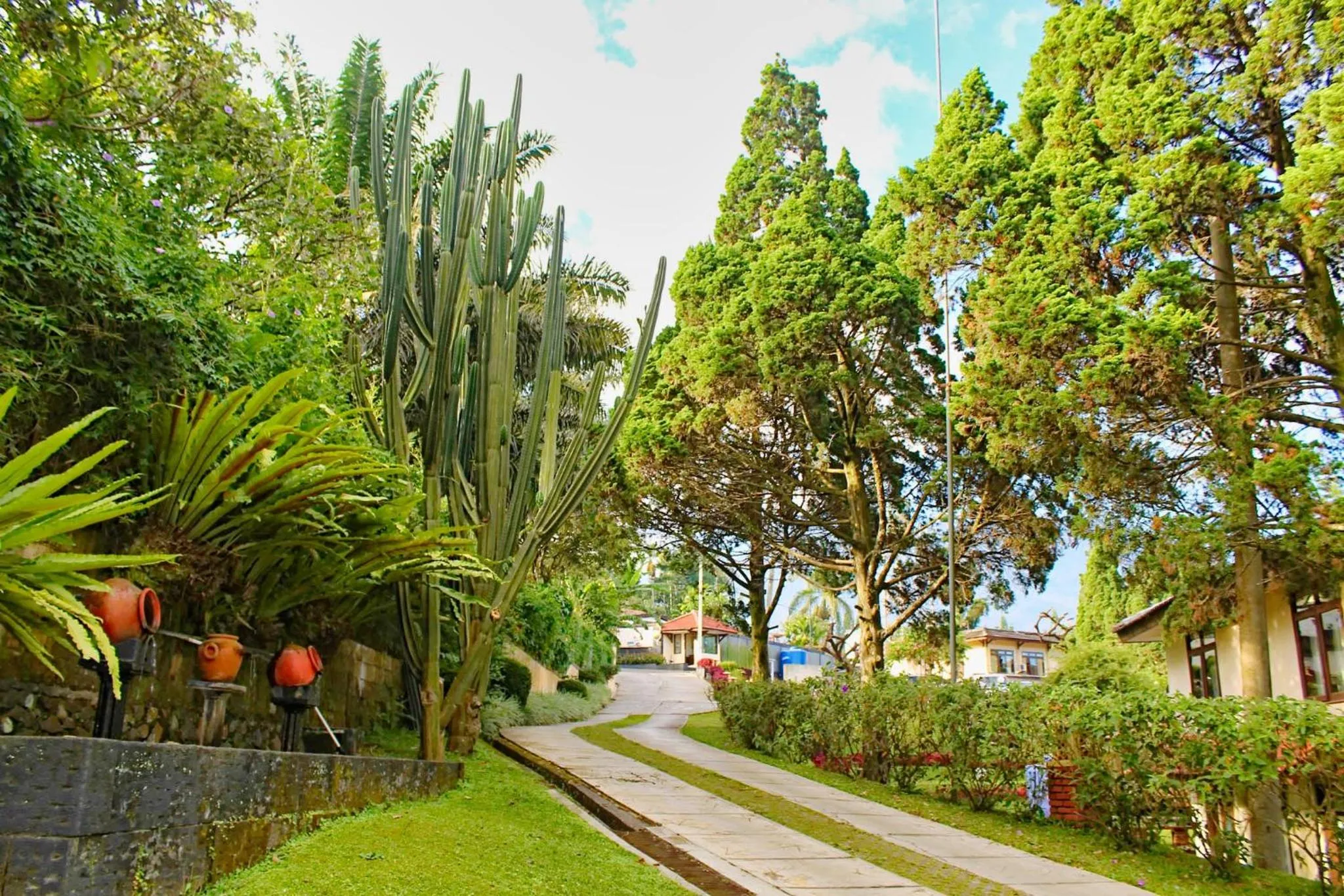 Property building in The Jayakarta Cisarua