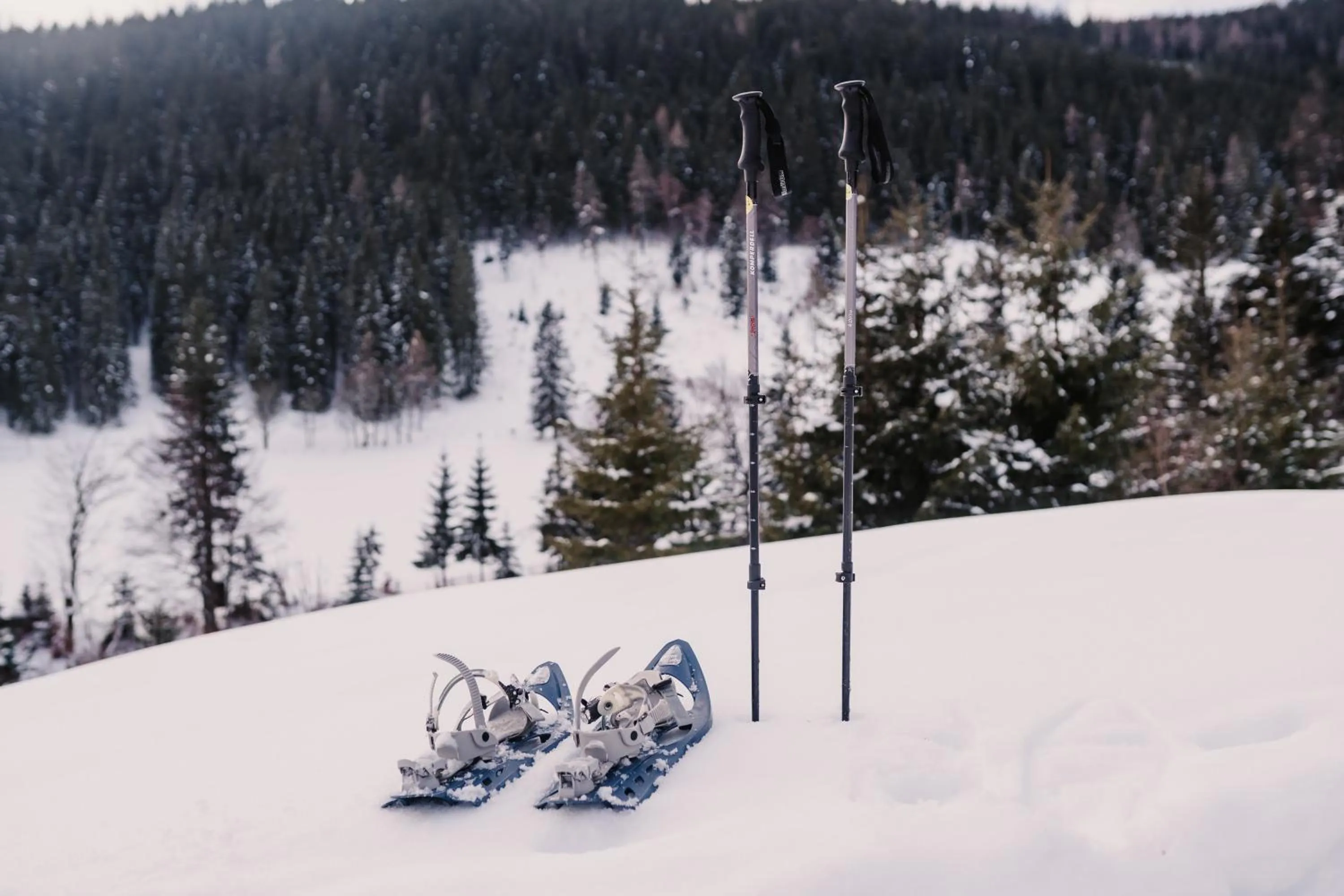 Activities in Hotel Neubergerhof