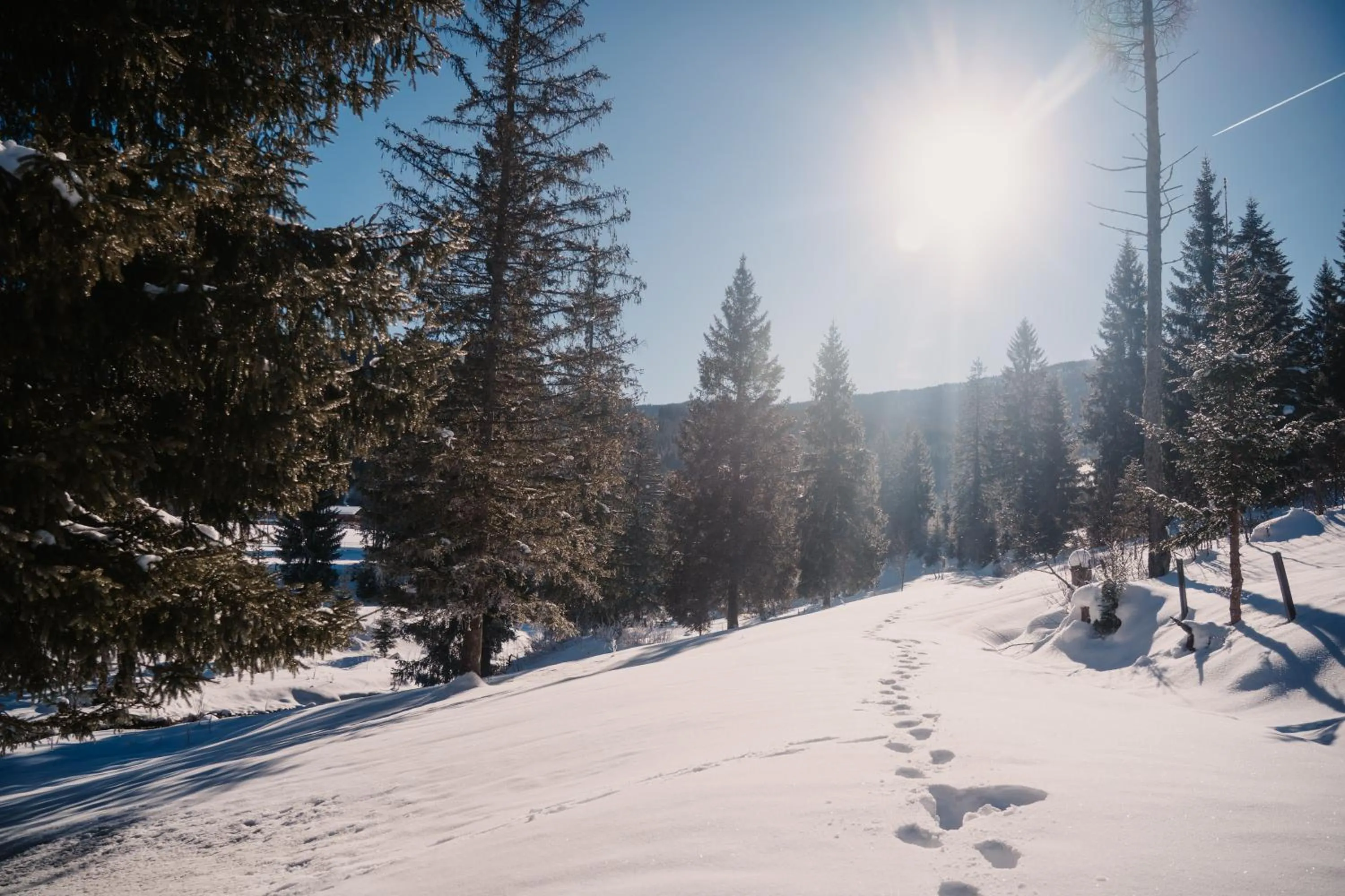 Off site in Hotel Neubergerhof