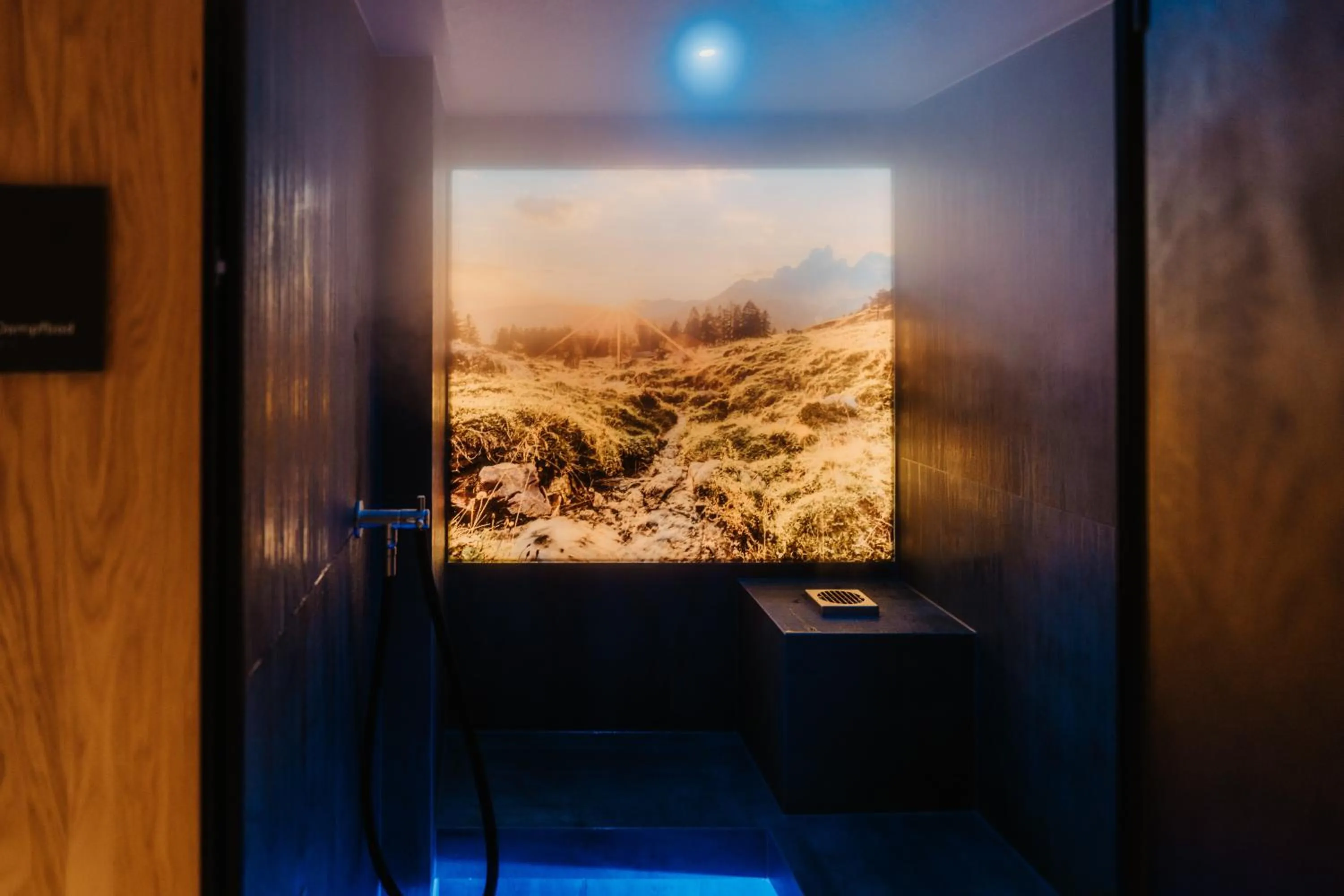 Spa and wellness centre/facilities in Hotel Neubergerhof