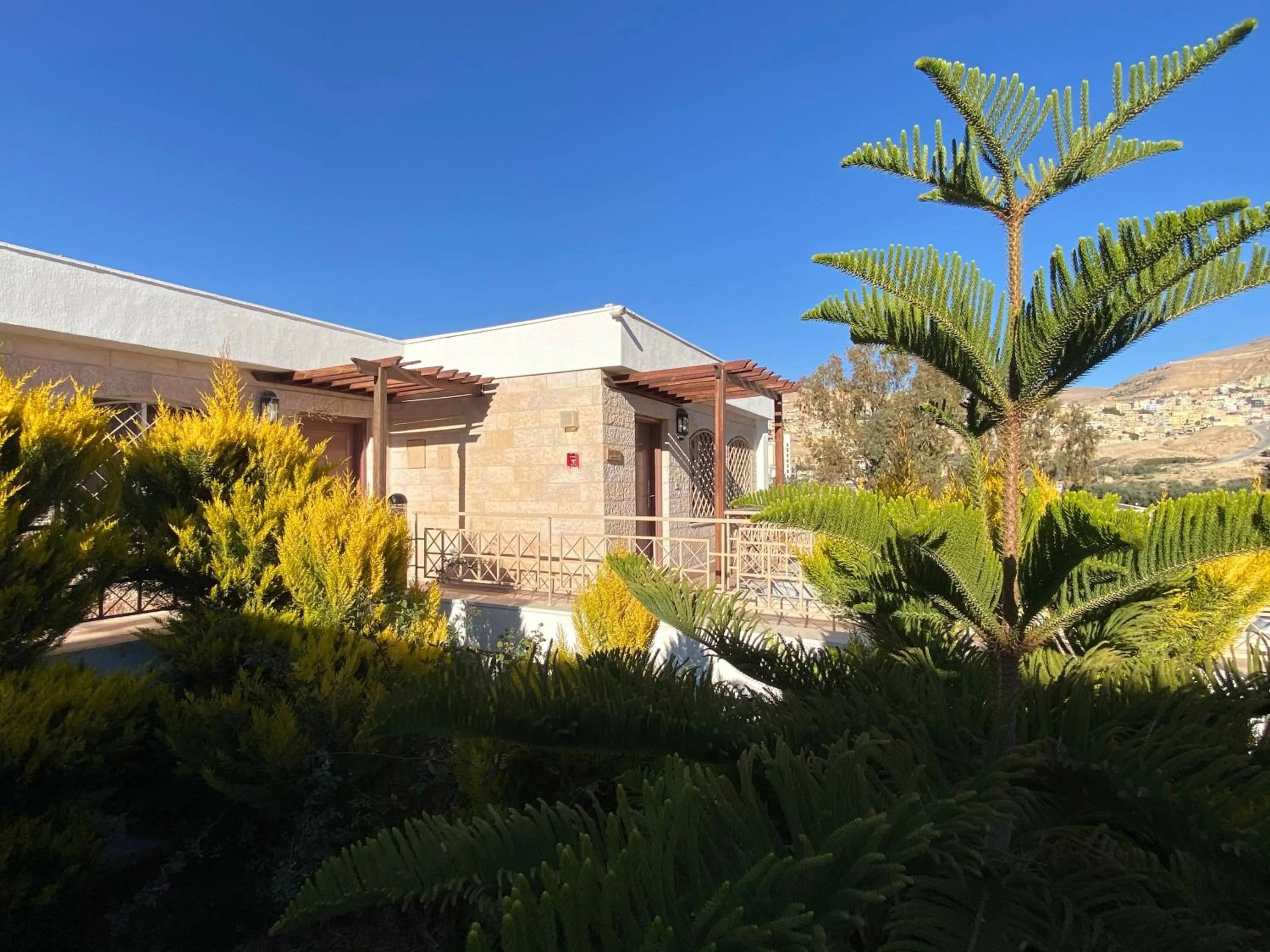 Other in Petra Guest House Hotel