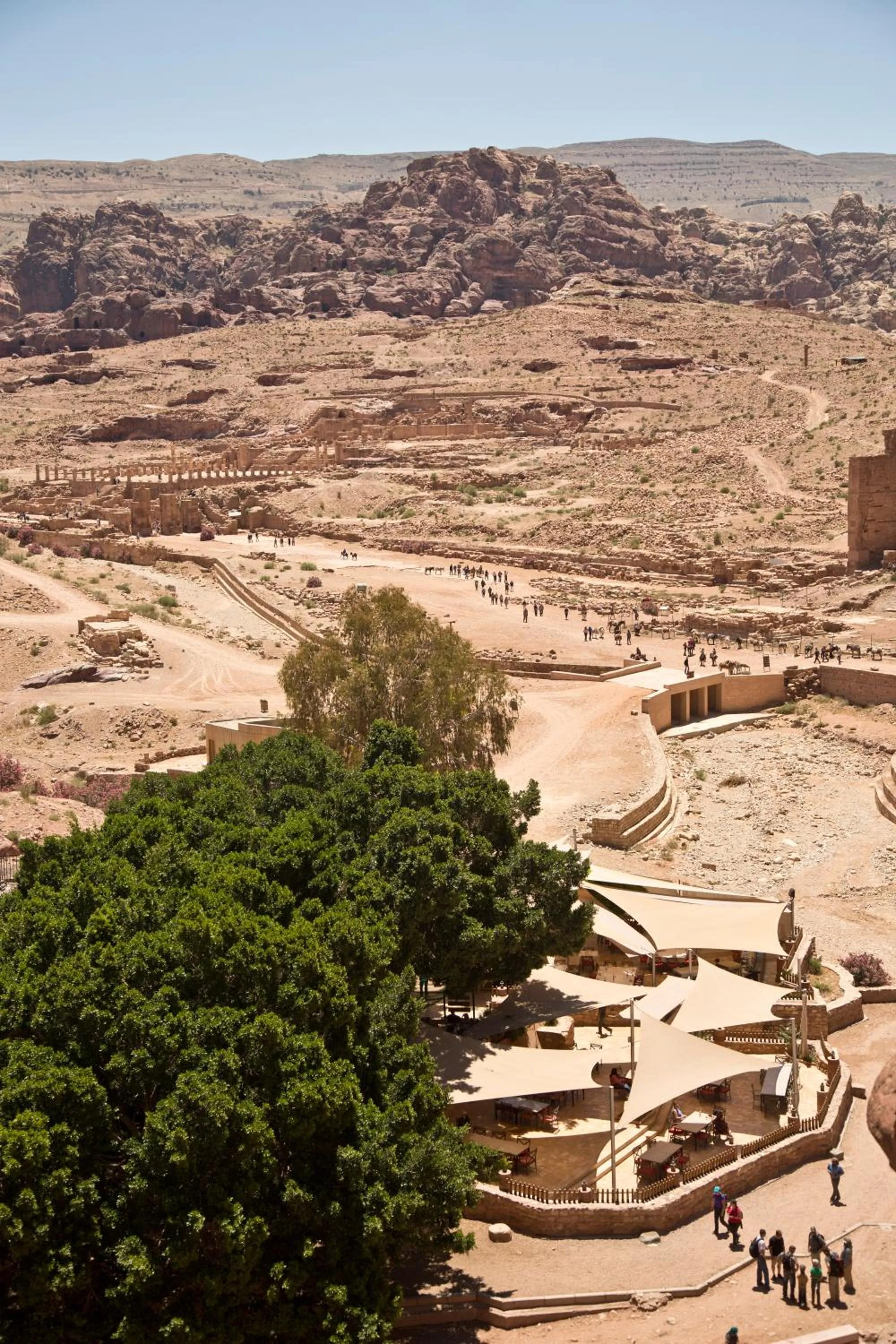 Natural landscape in Petra Guest House Hotel