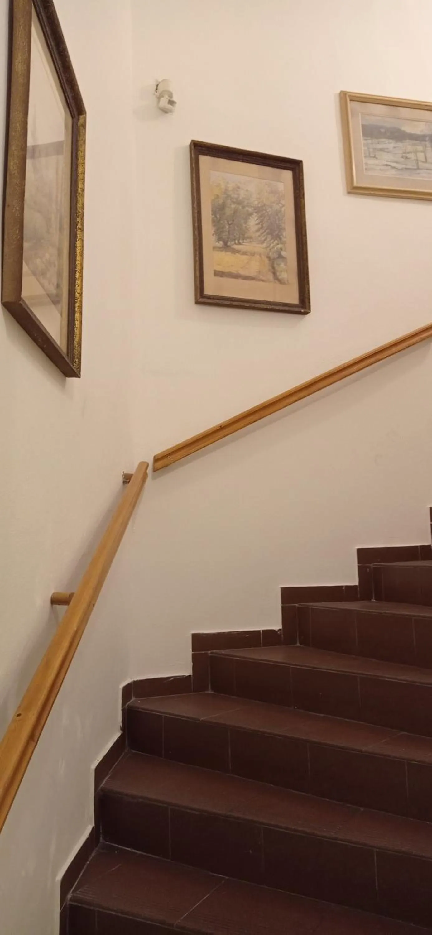 Facade/entrance in Hotel U Zlateho jelena