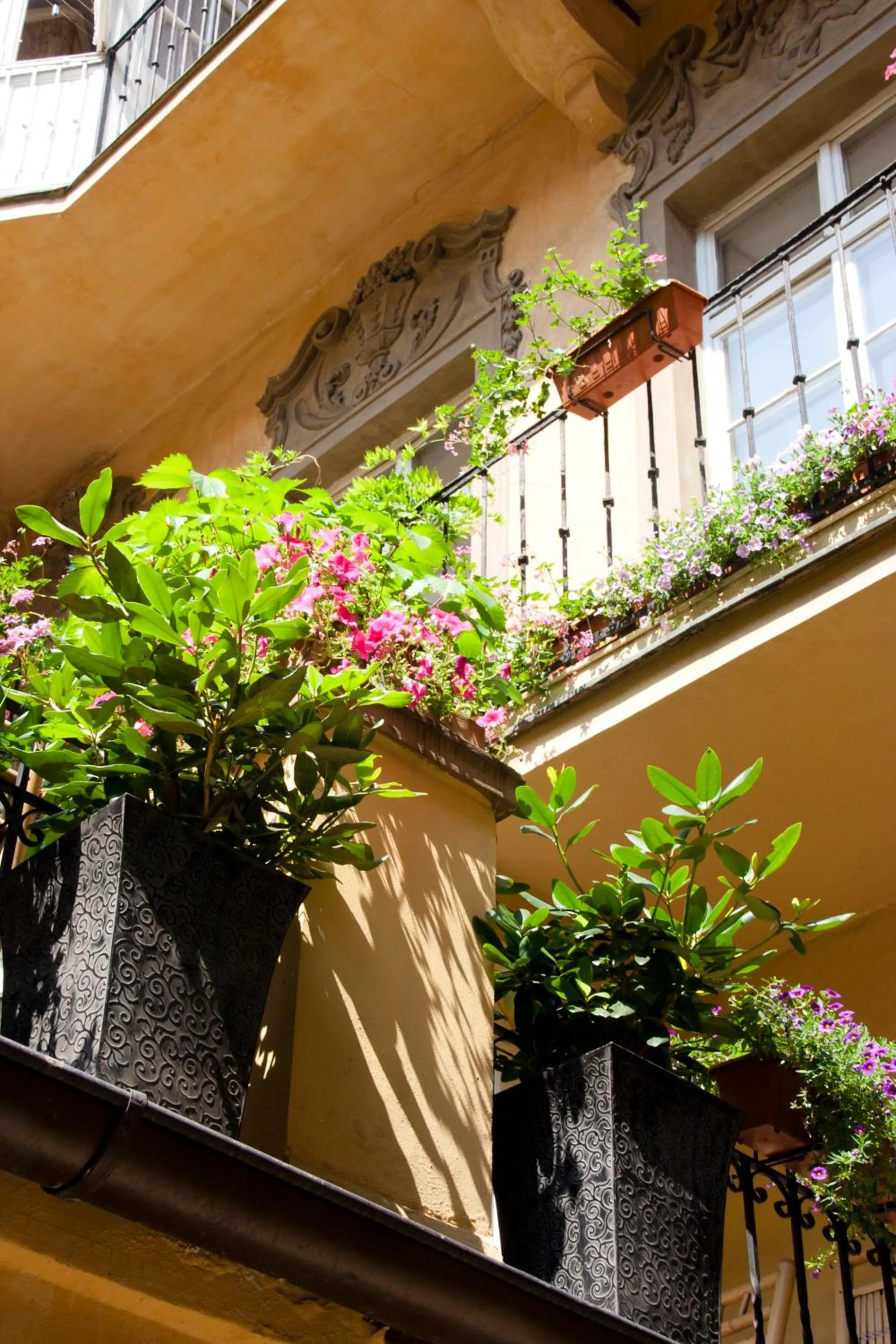 Facade/entrance in Hotel U Zlateho jelena