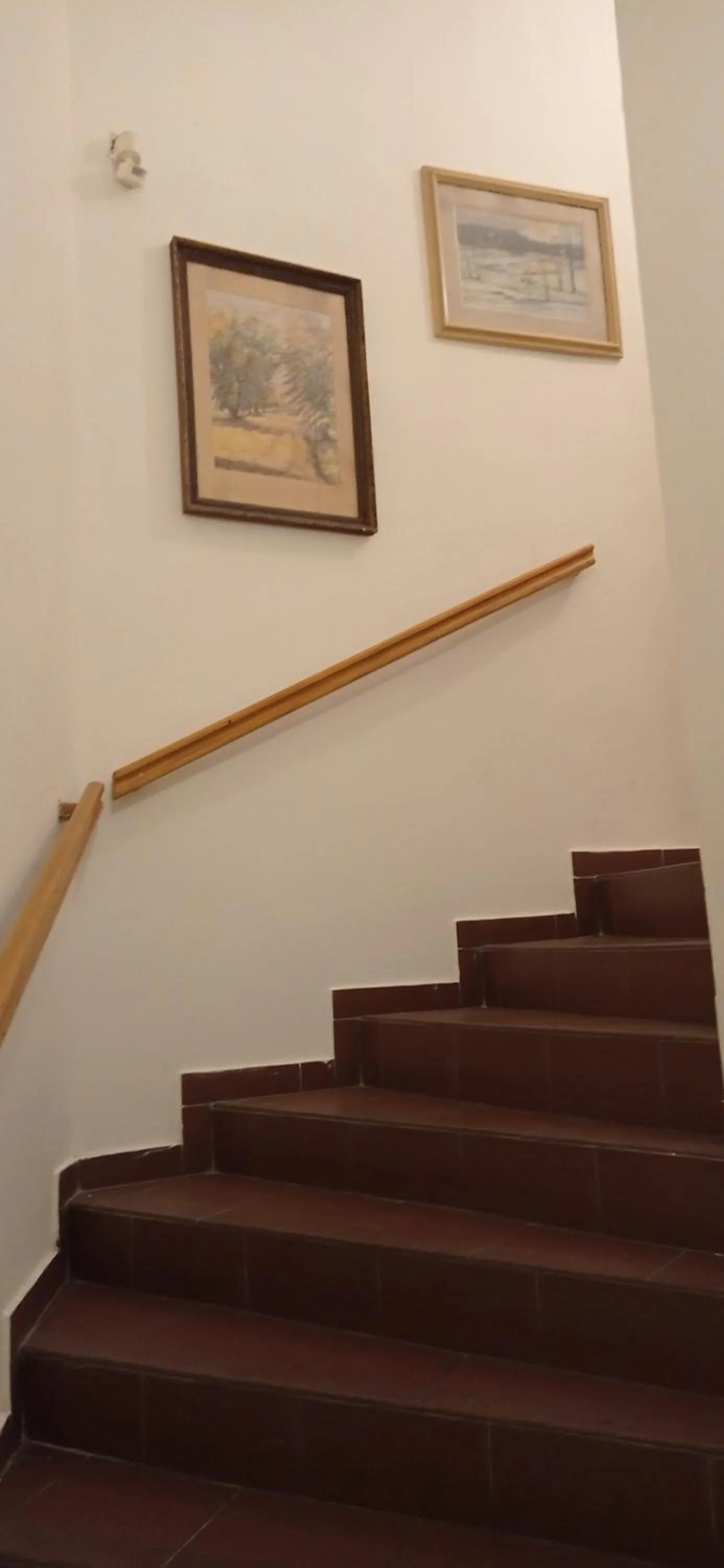 Property building in Hotel U Zlateho jelena