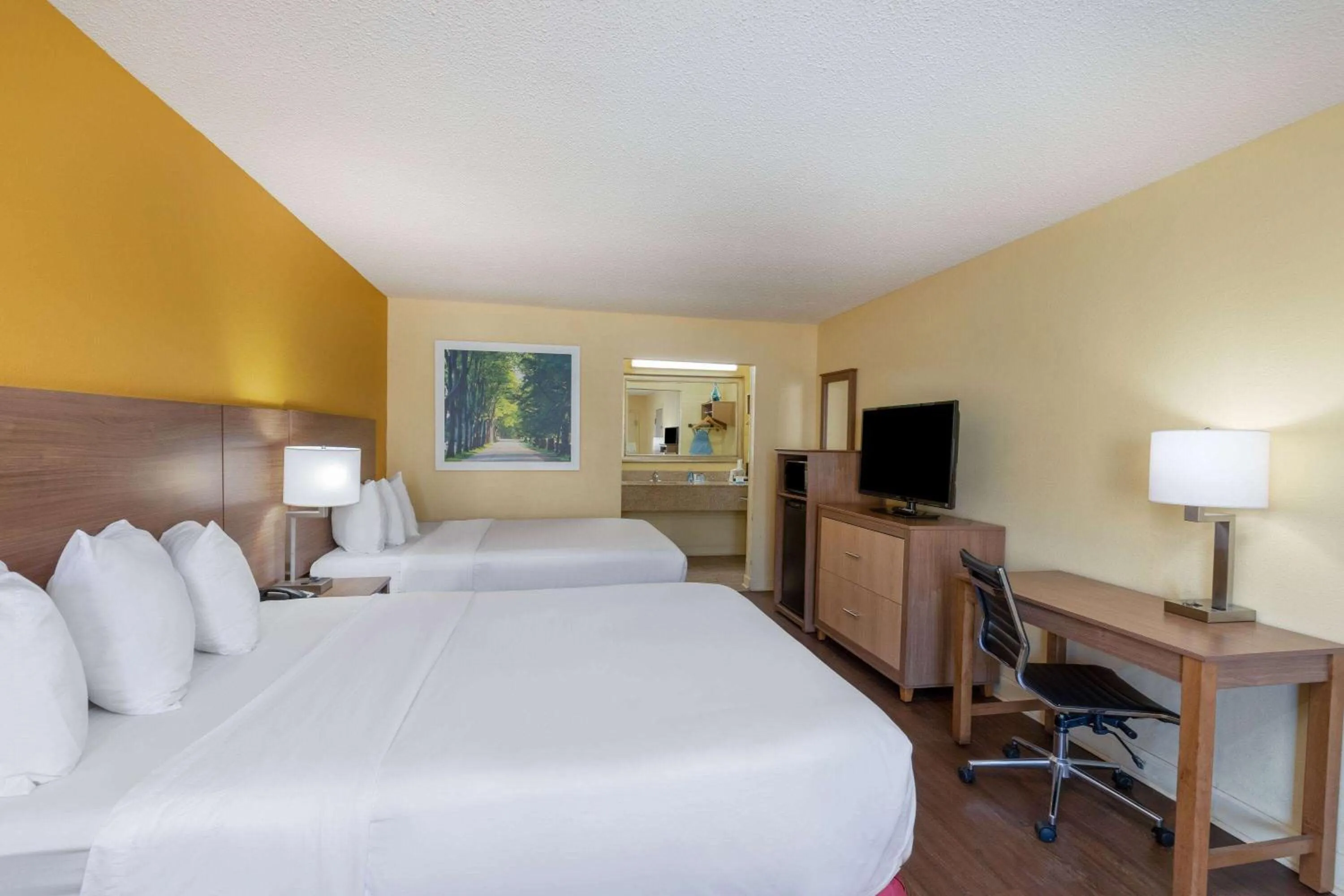 Bed in Days Inn by Wyndham Florence/I-95 North