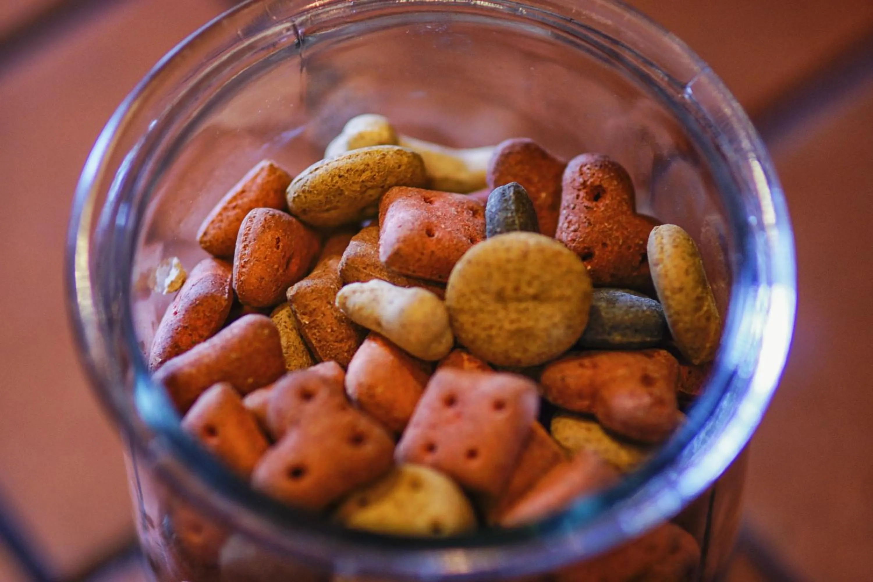 Pets in Yorkshire Bridge Inn